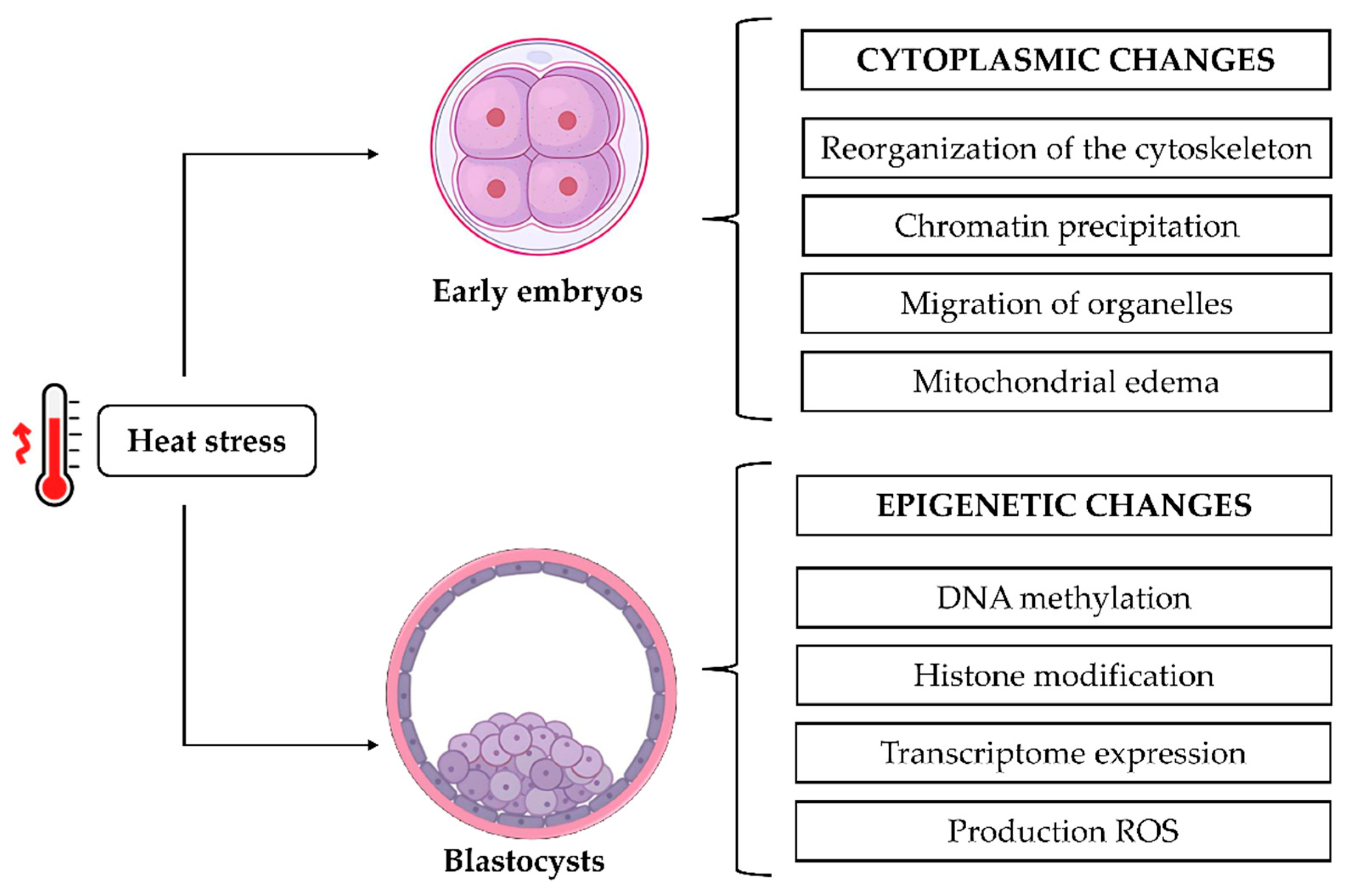 Animals 15 02296 g003