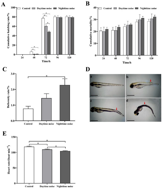 Effects of Underwater Noise Exposure on Early Development in Zebrafish