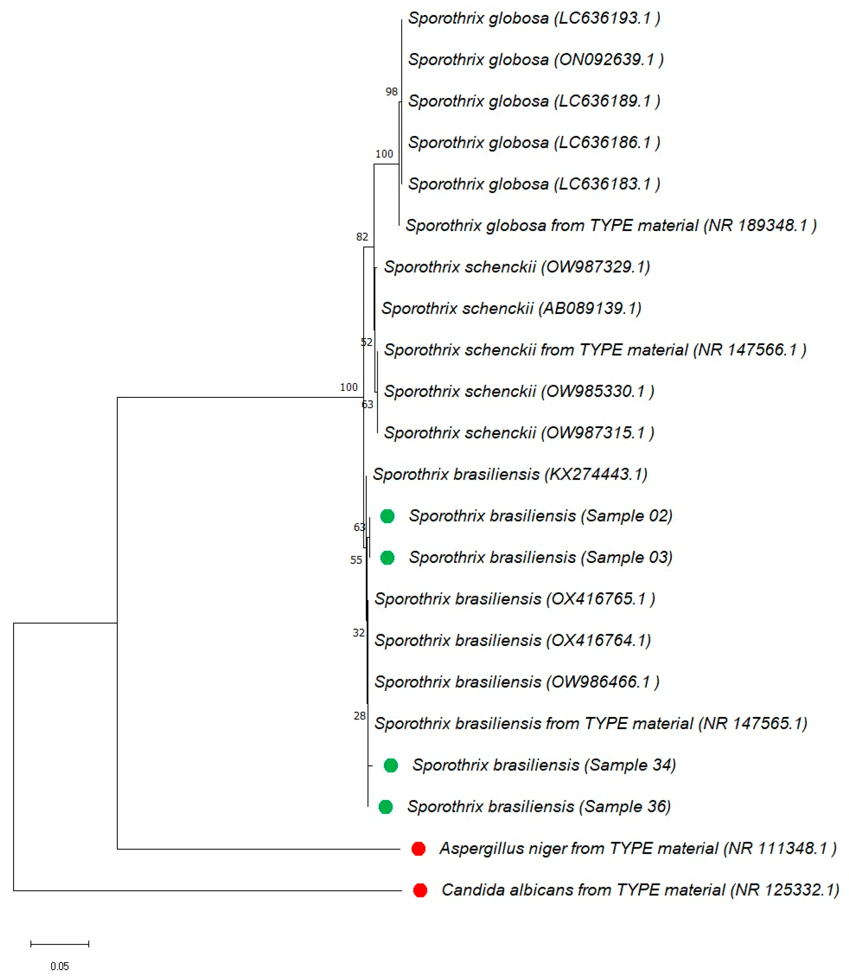 Animals 15 02318 g003 Animals 15 02318 g003