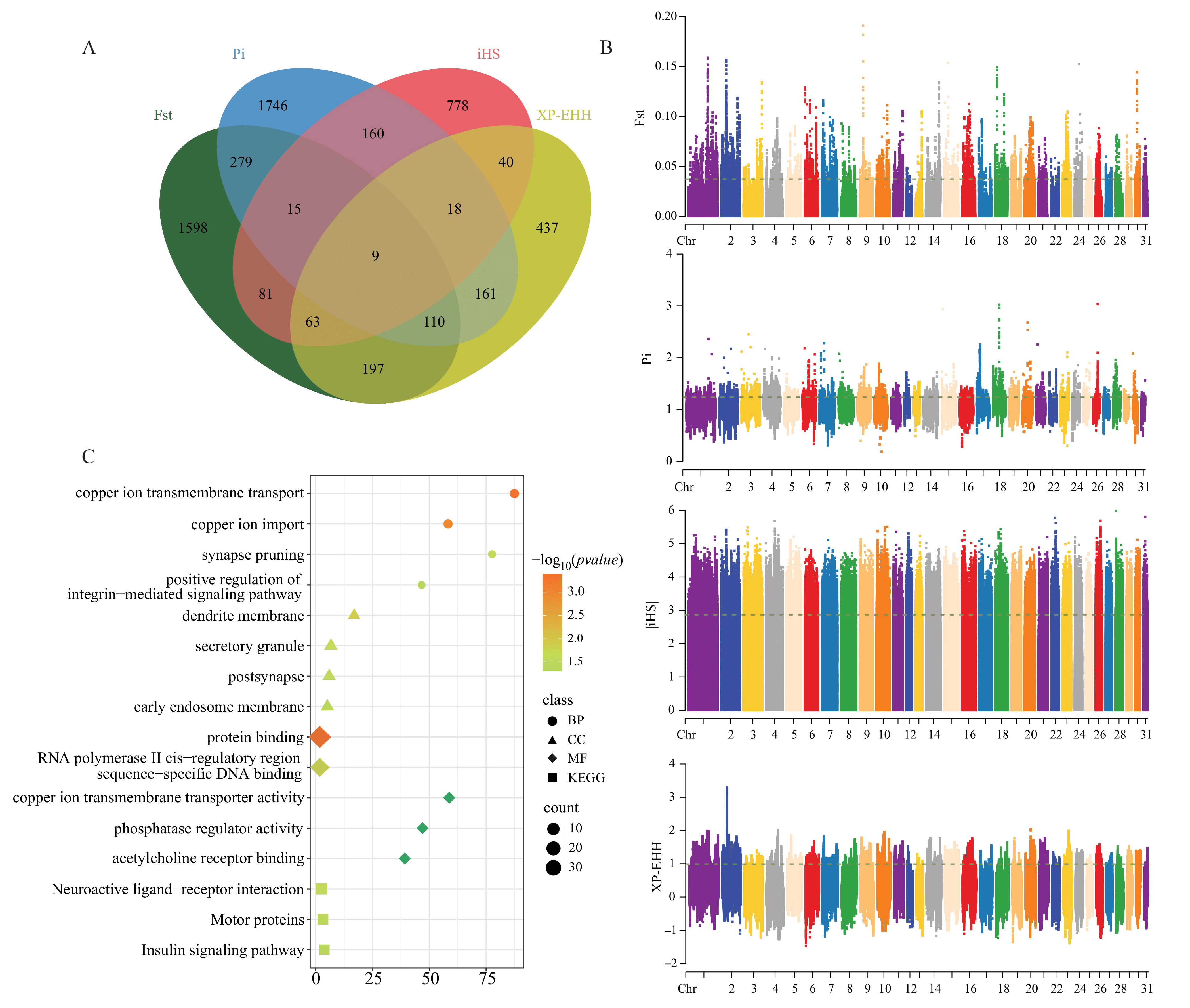 Animals 15 02323 g002 Animals 15 02323 g002