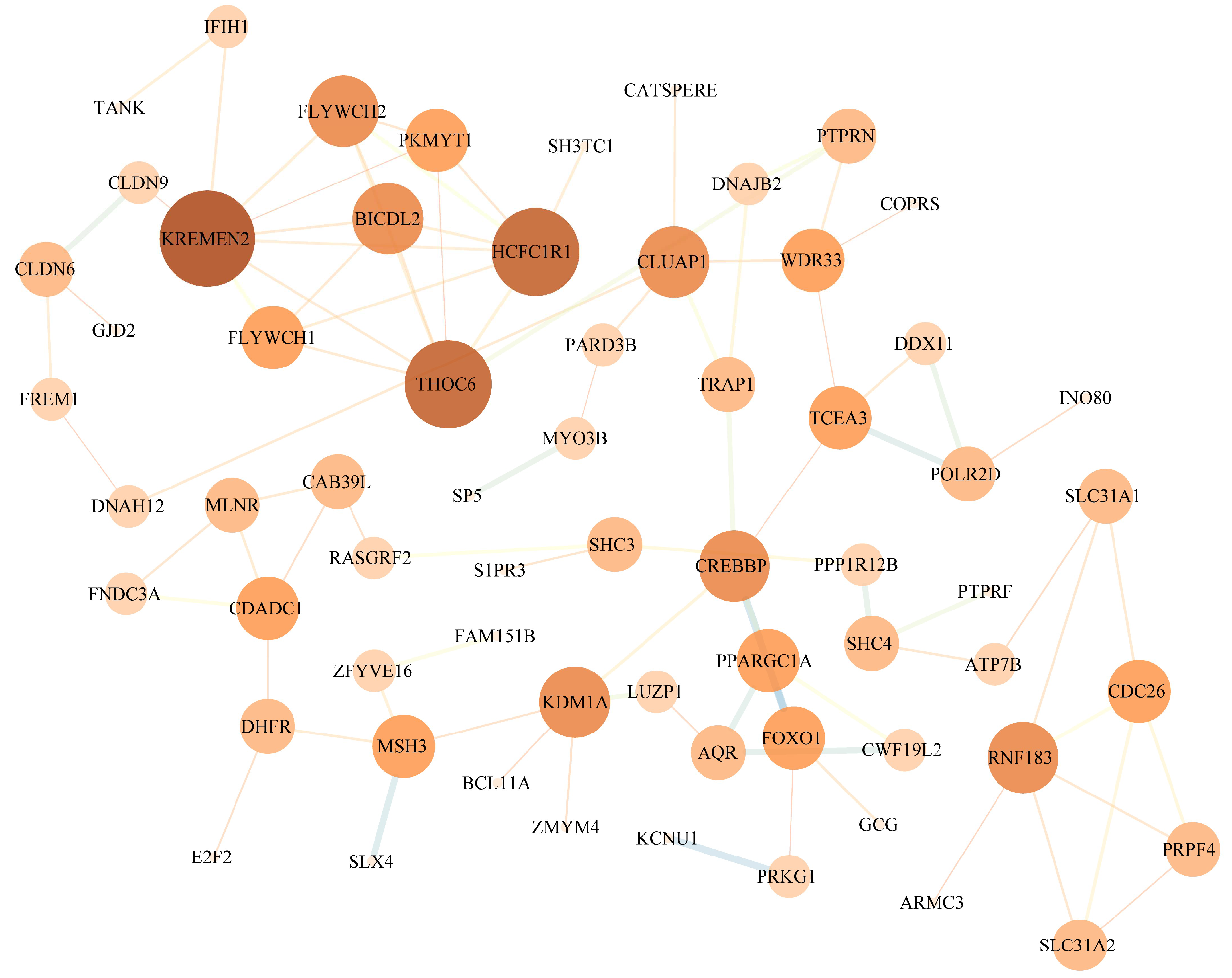 Animals 15 02323 g004 Animals 15 02323 g004