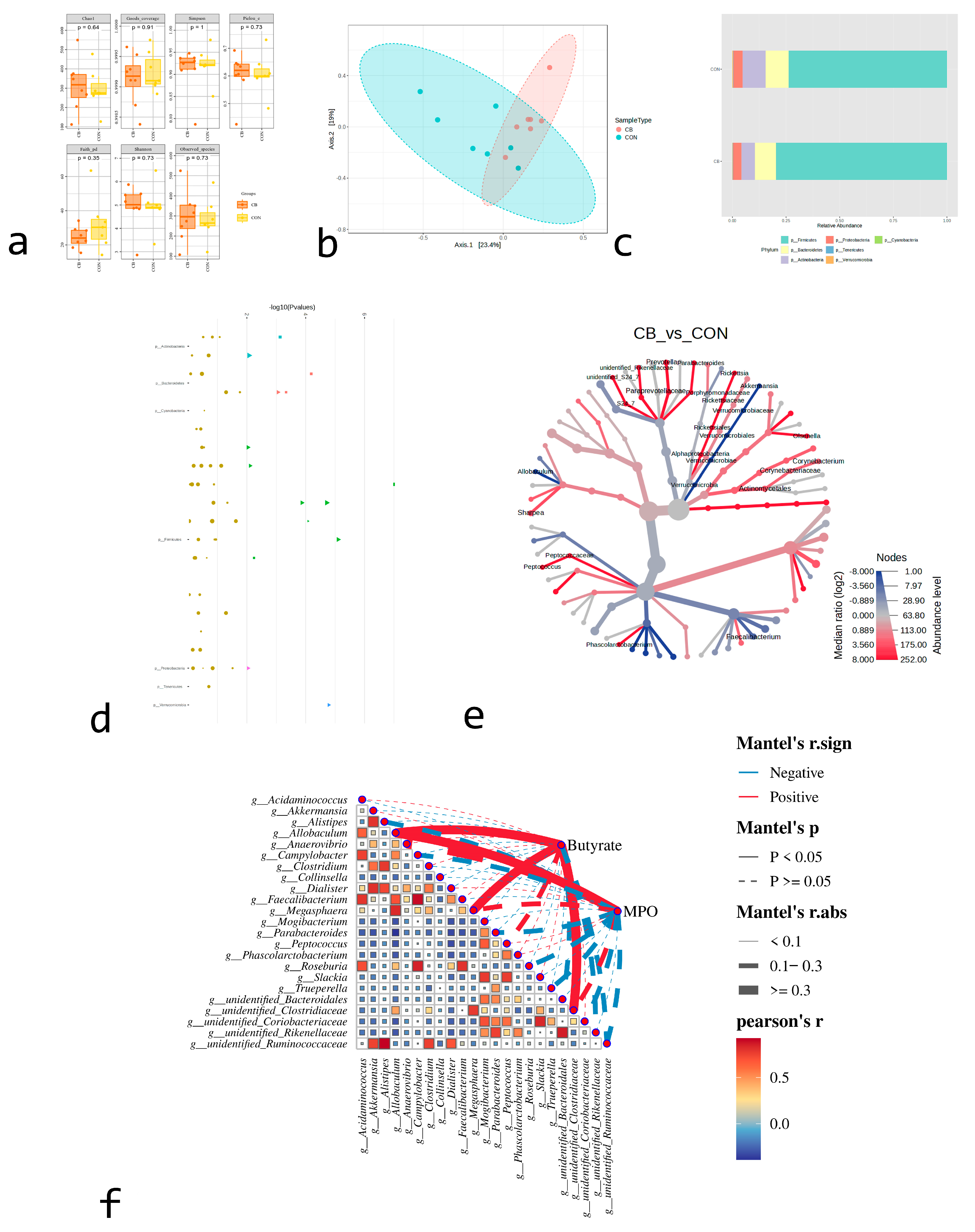 Animals 15 02332 g002