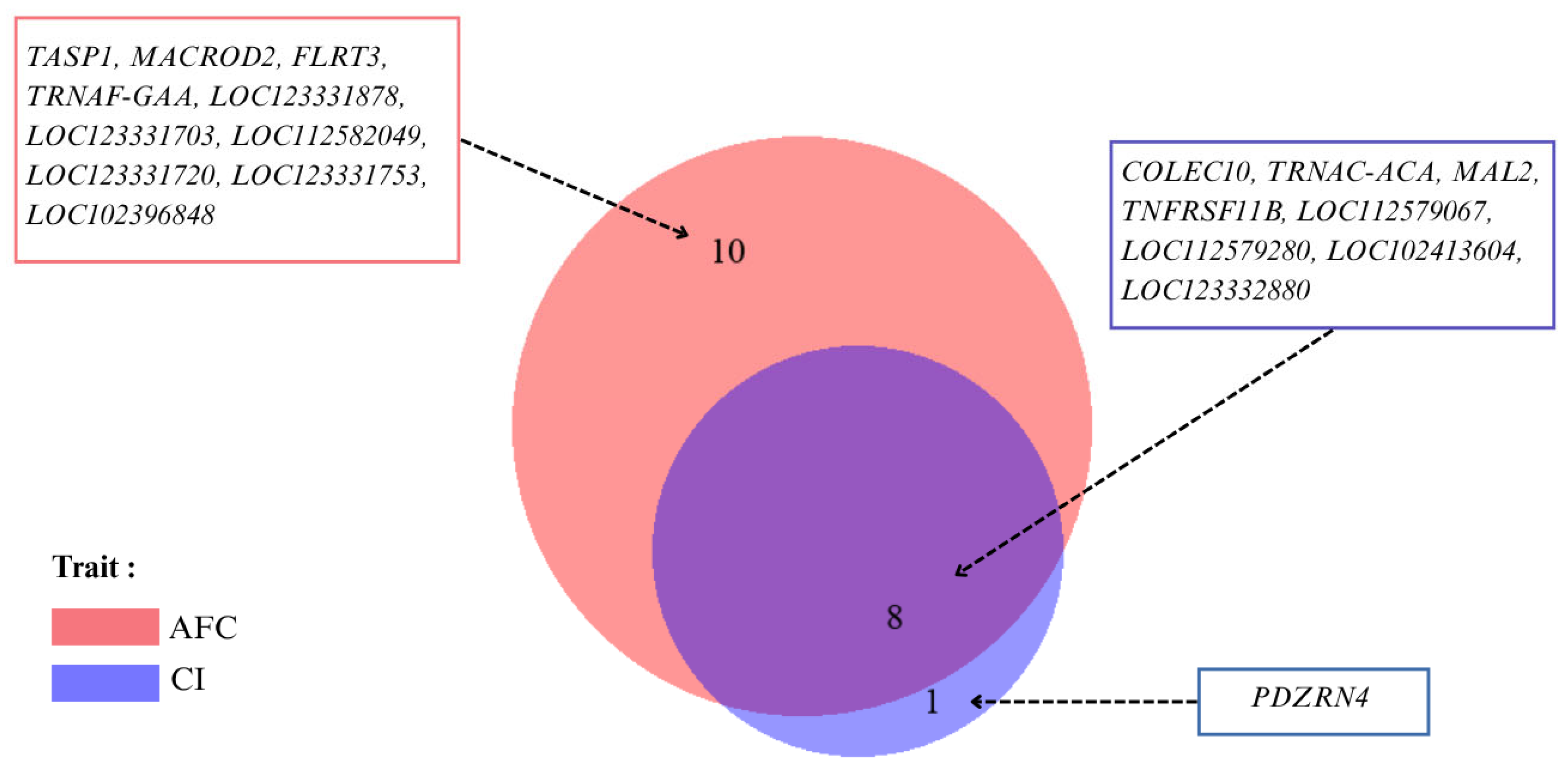 Animals 15 02333 g003