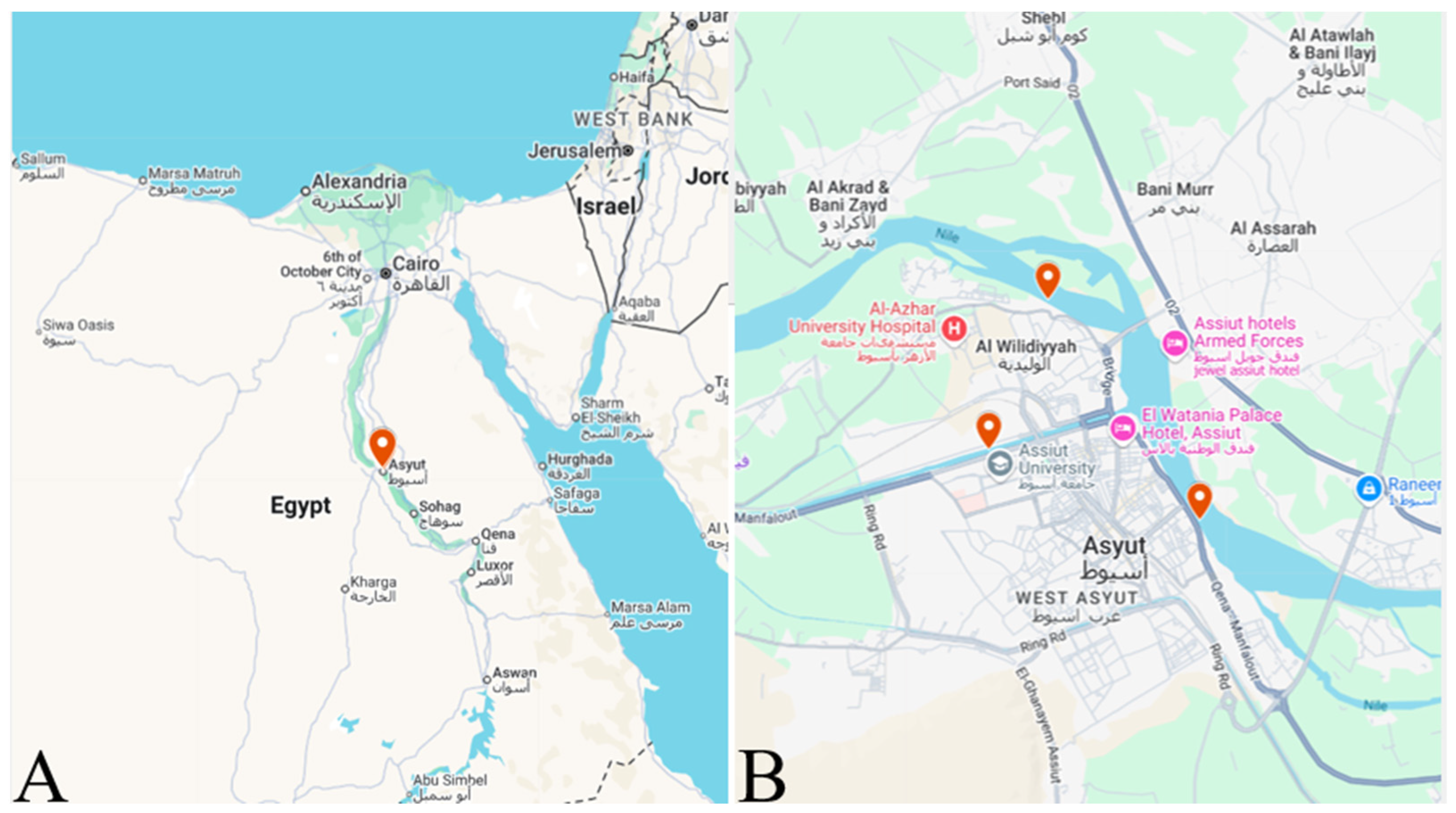 Animals 15 02334 g001 Animals 15 02334 g001