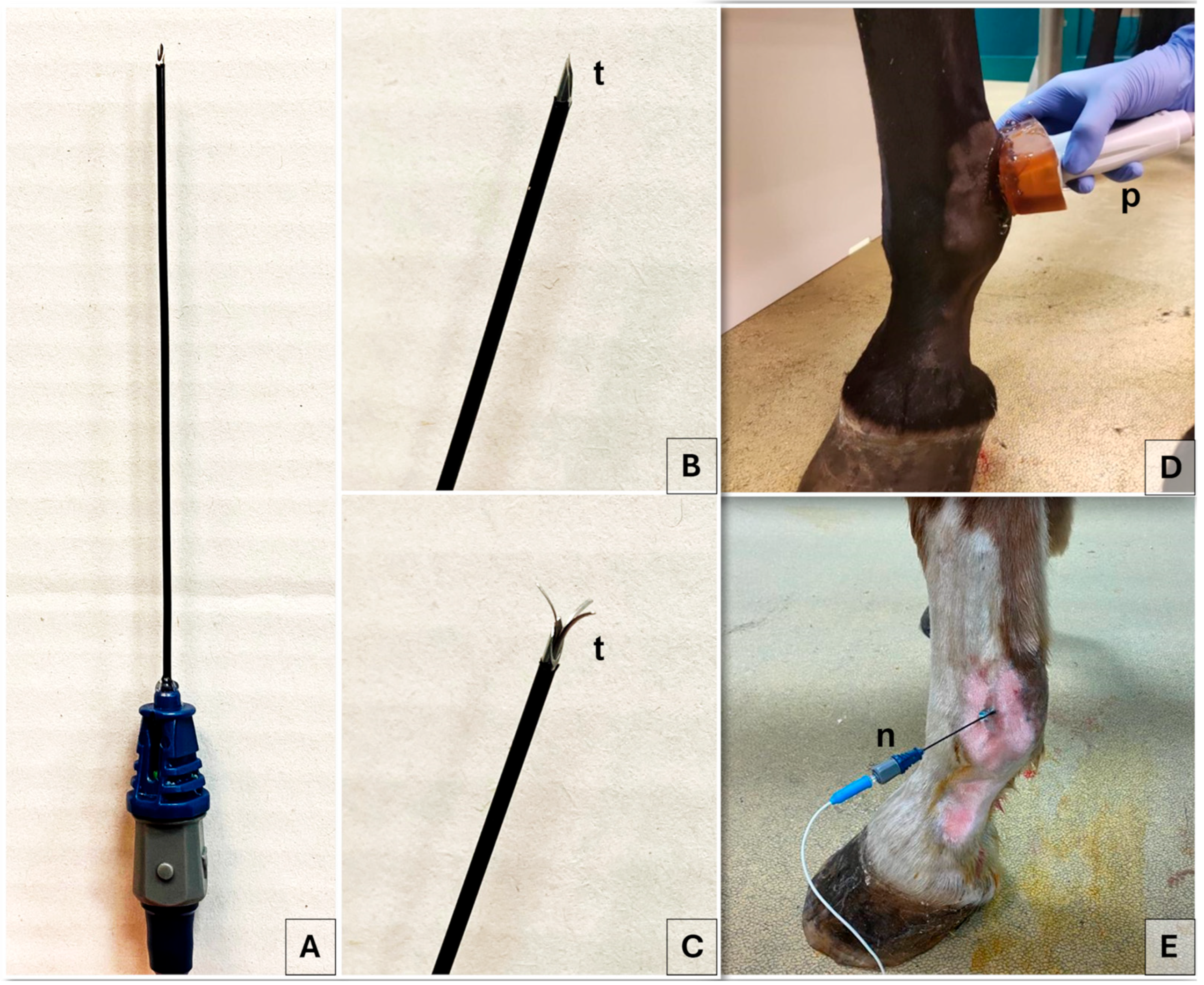 Animals 15 02341 g002 Animals 15 02341 g002