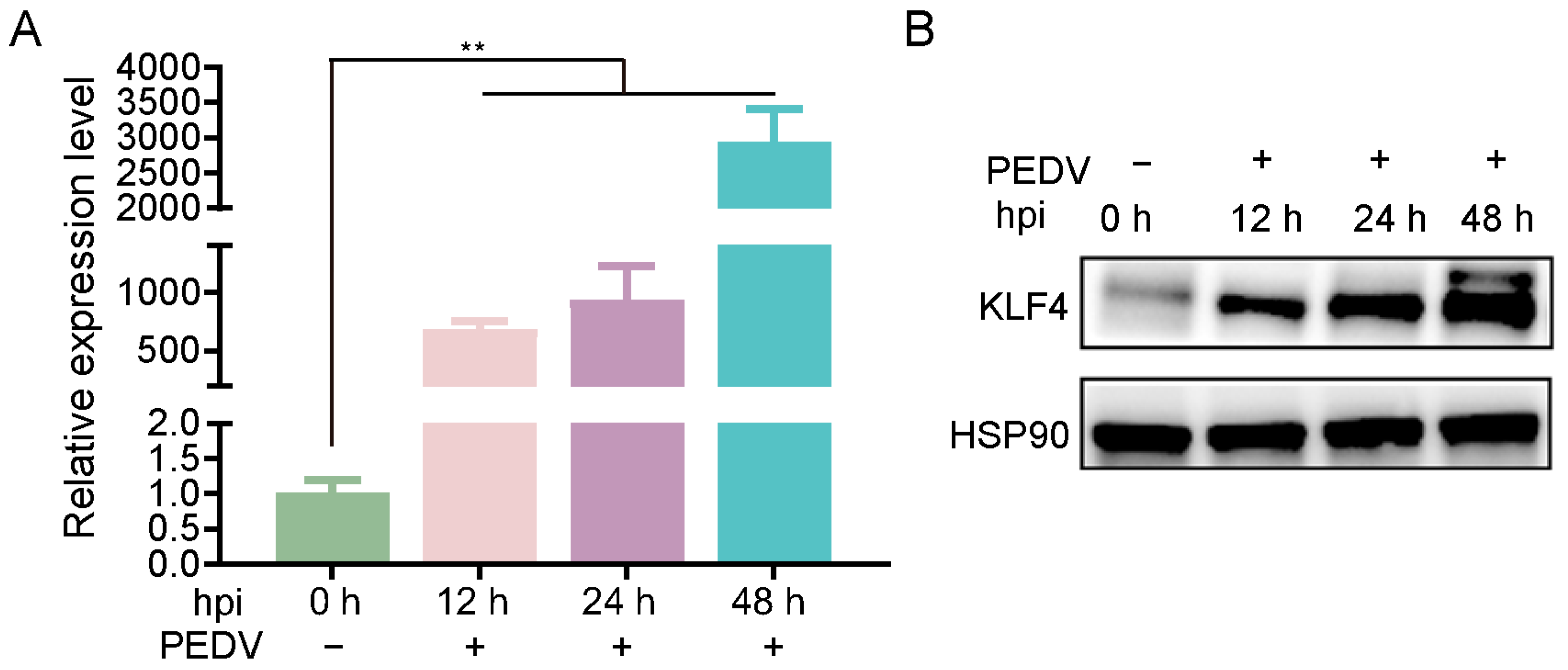 Animals 15 02343 g001 Animals 15 02343 g001