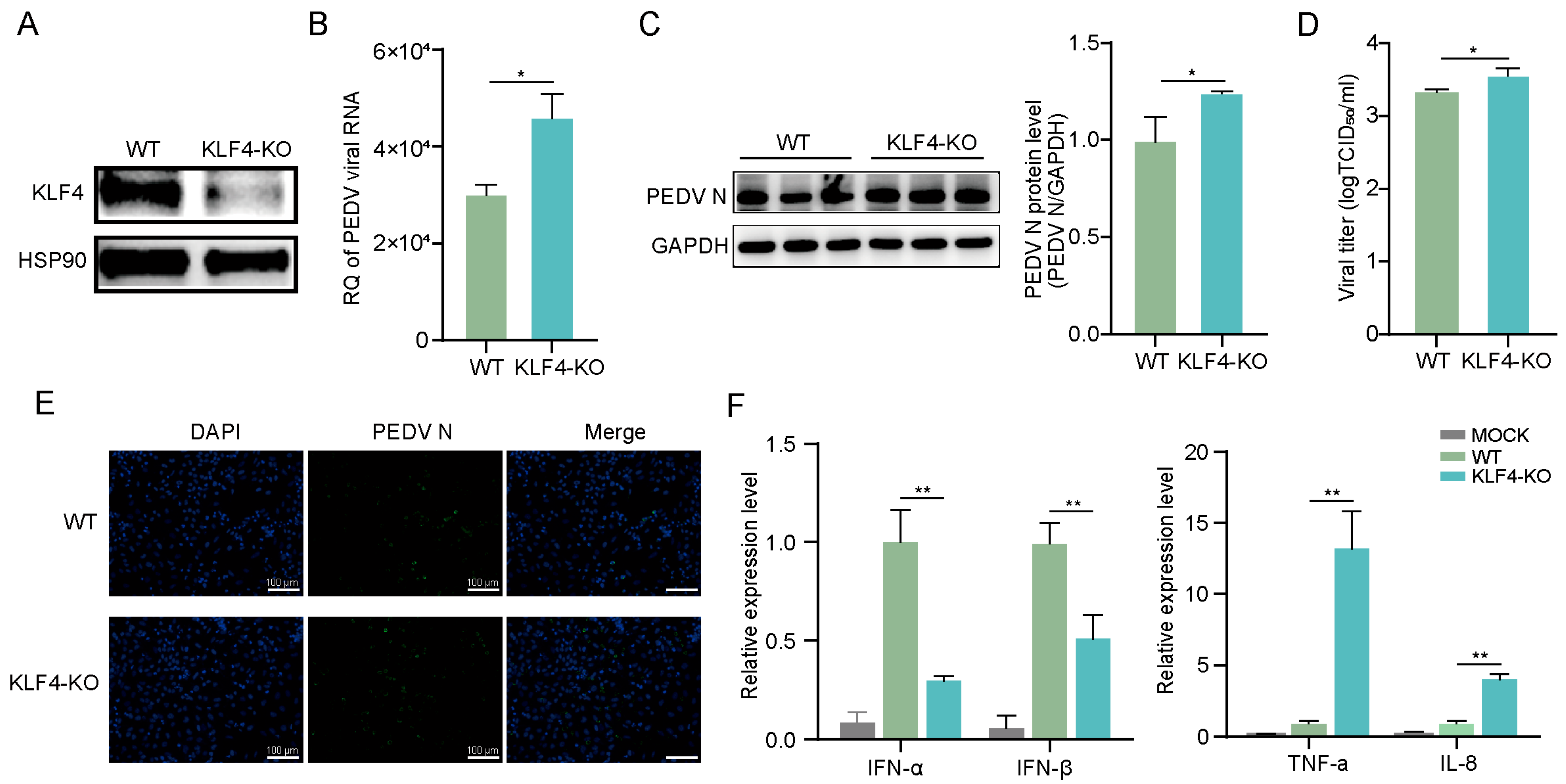 Animals 15 02343 g002 Animals 15 02343 g002