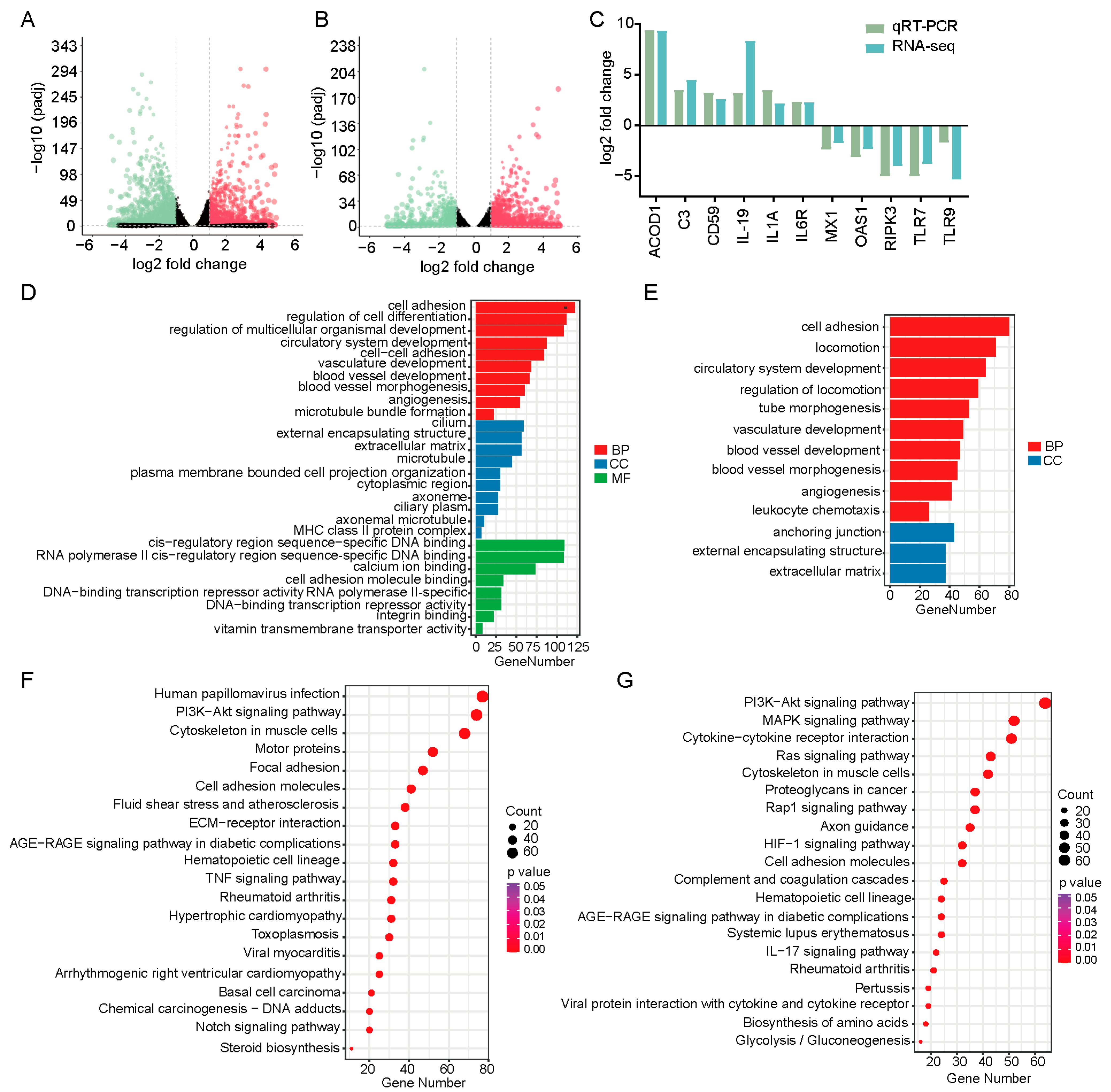 Animals 15 02343 g004 Animals 15 02343 g004