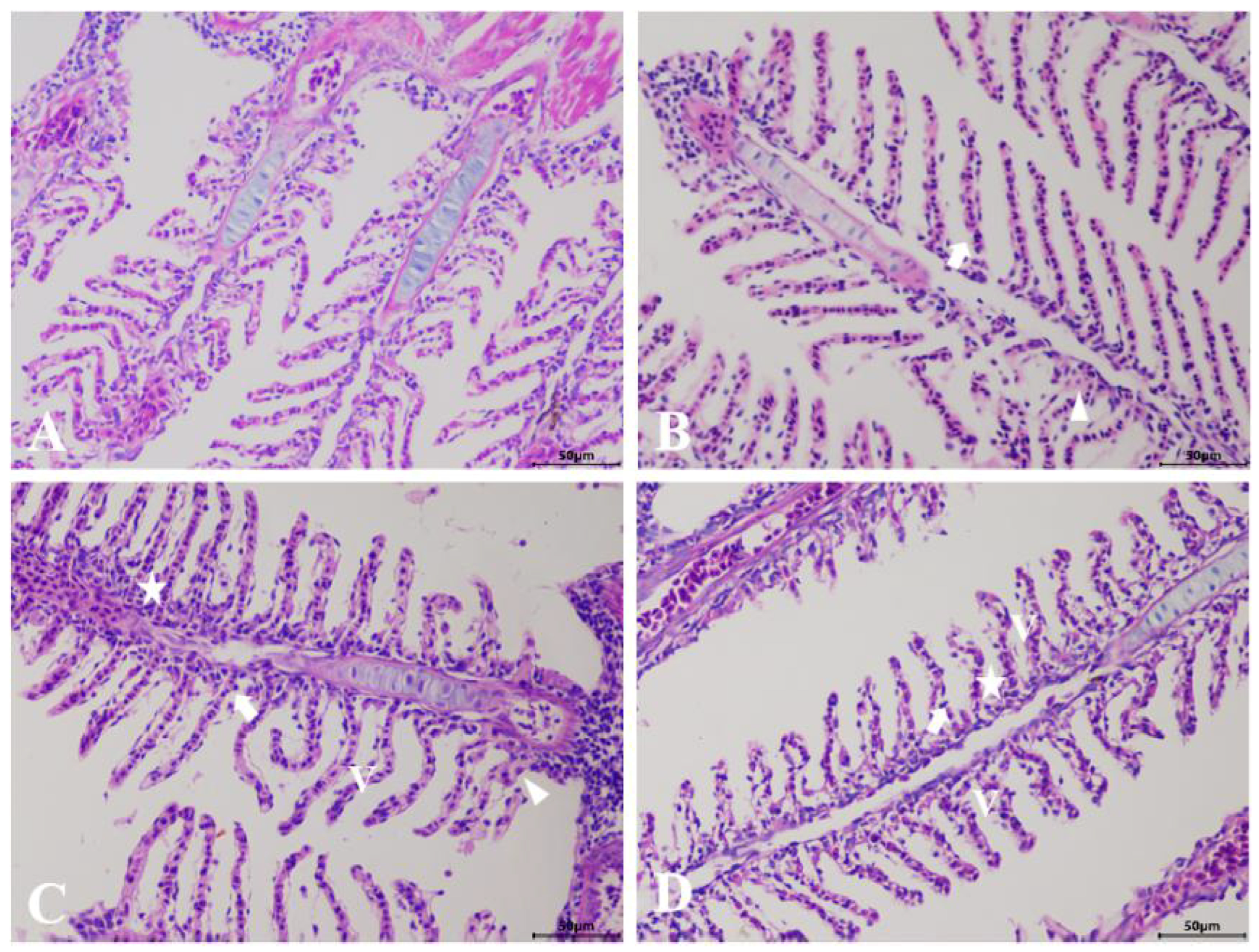 Animals 15 02355 g001 Animals 15 02355 g001