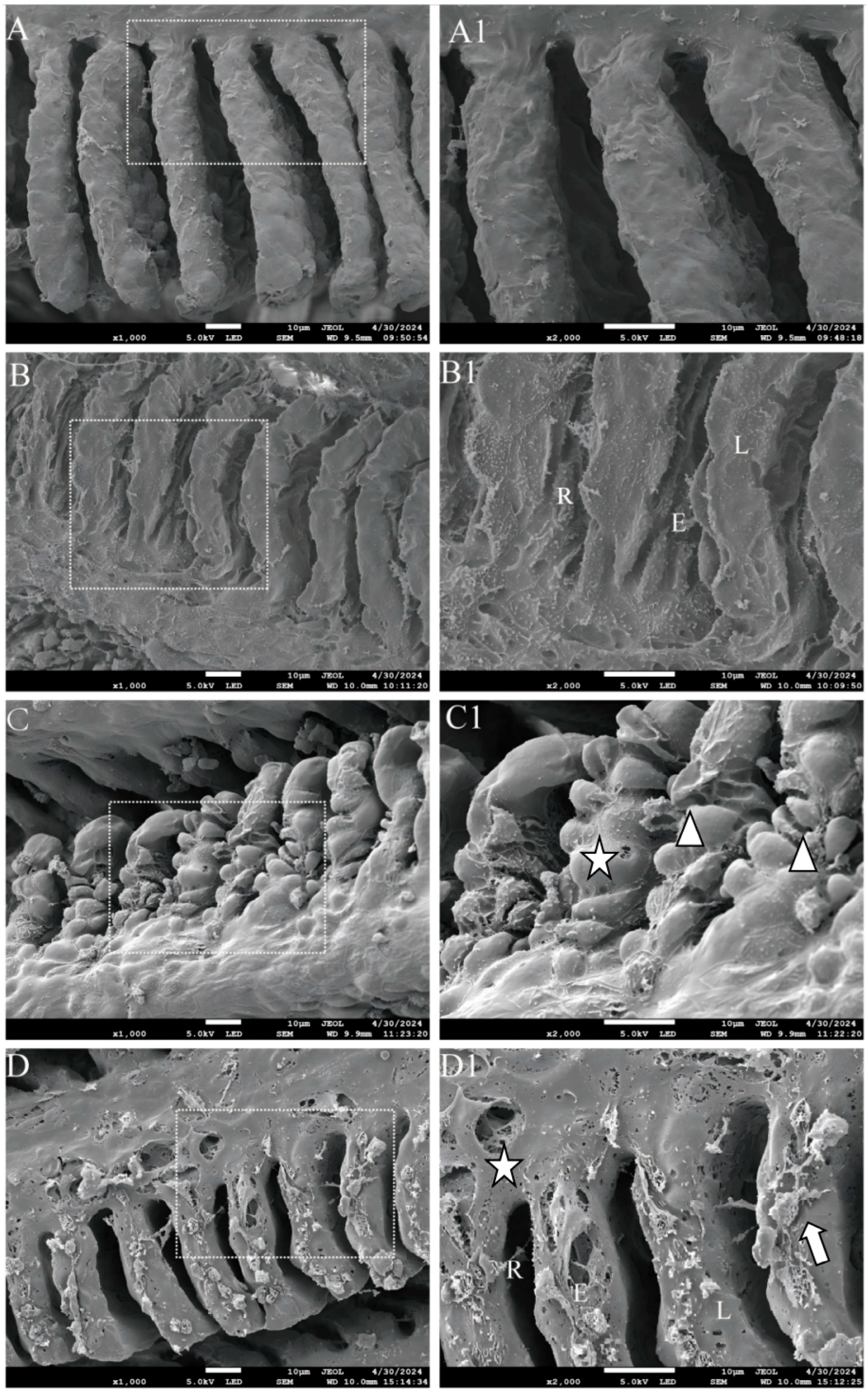 Animals 15 02355 g002 Animals 15 02355 g002