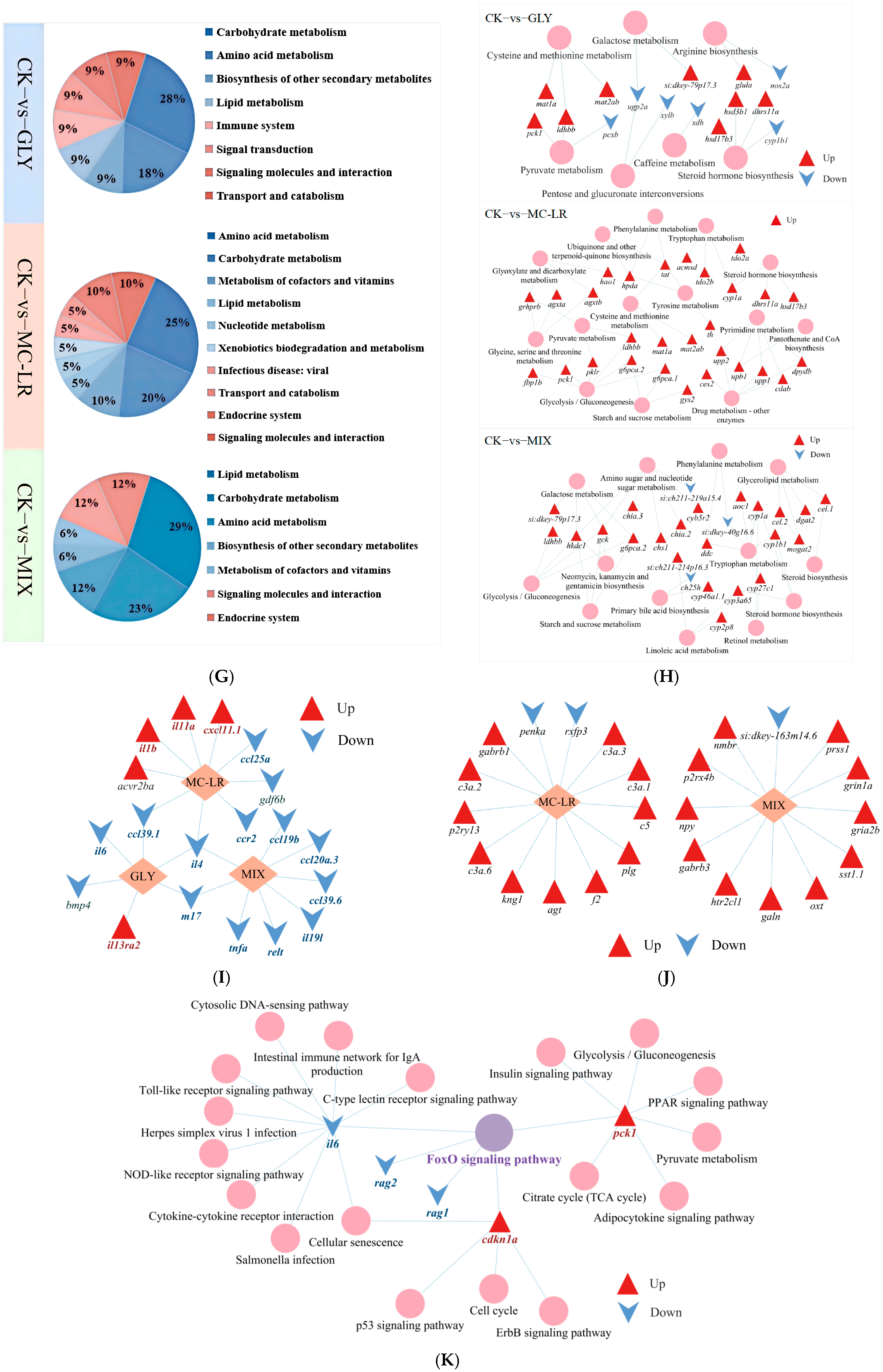 Animals 15 02355 g005b Animals 15 02355 g005b