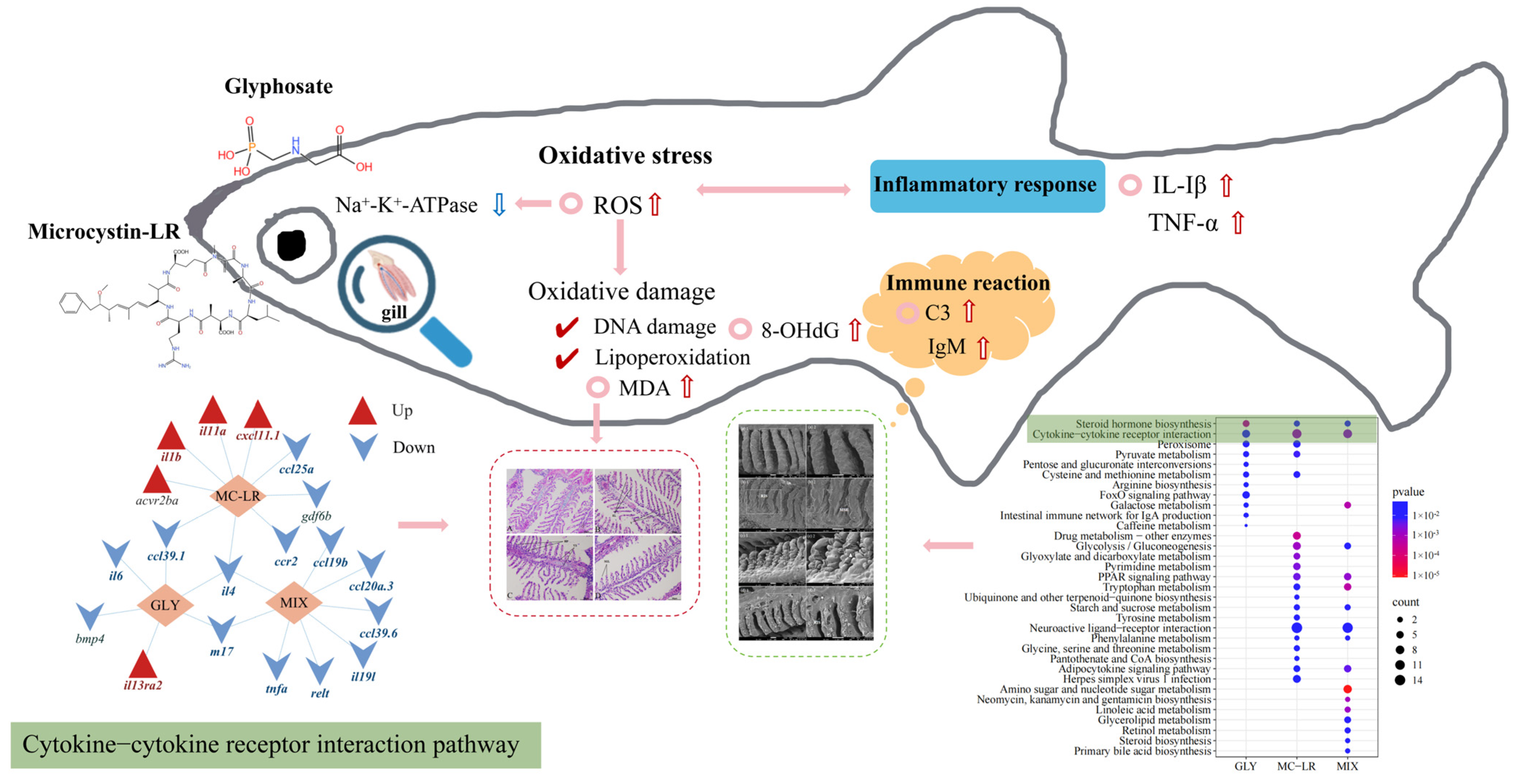 Animals 15 02355 g006 Animals 15 02355 g006