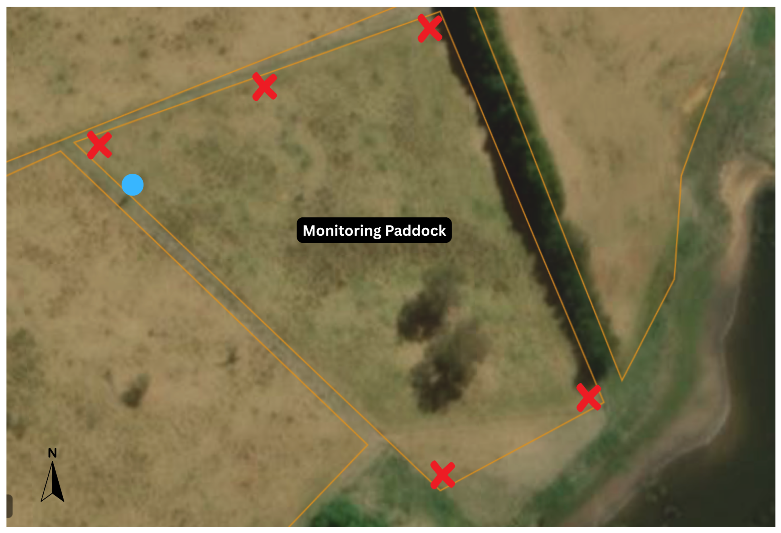 Animals 15 02357 g001 Animals 15 02357 g001