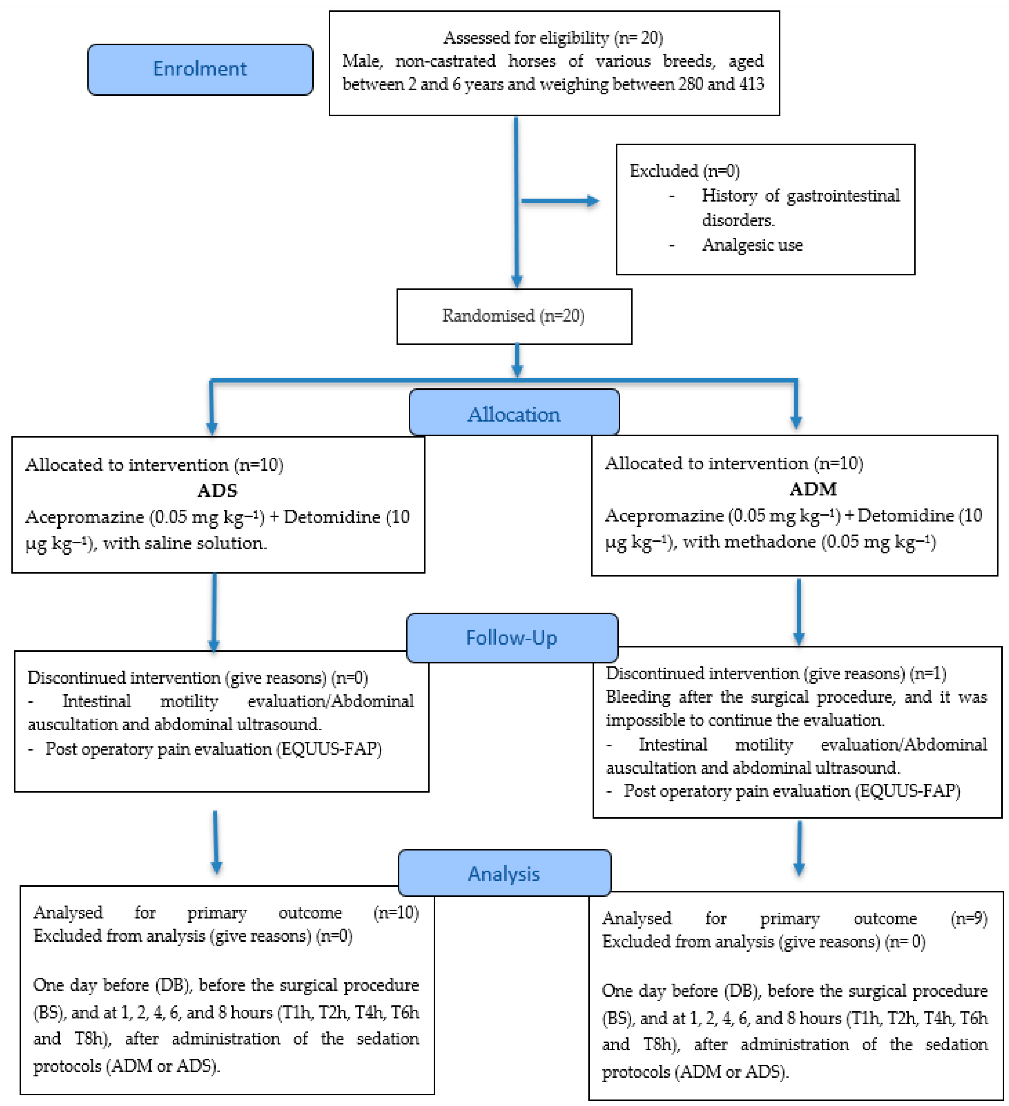 Animals 15 02358 g001