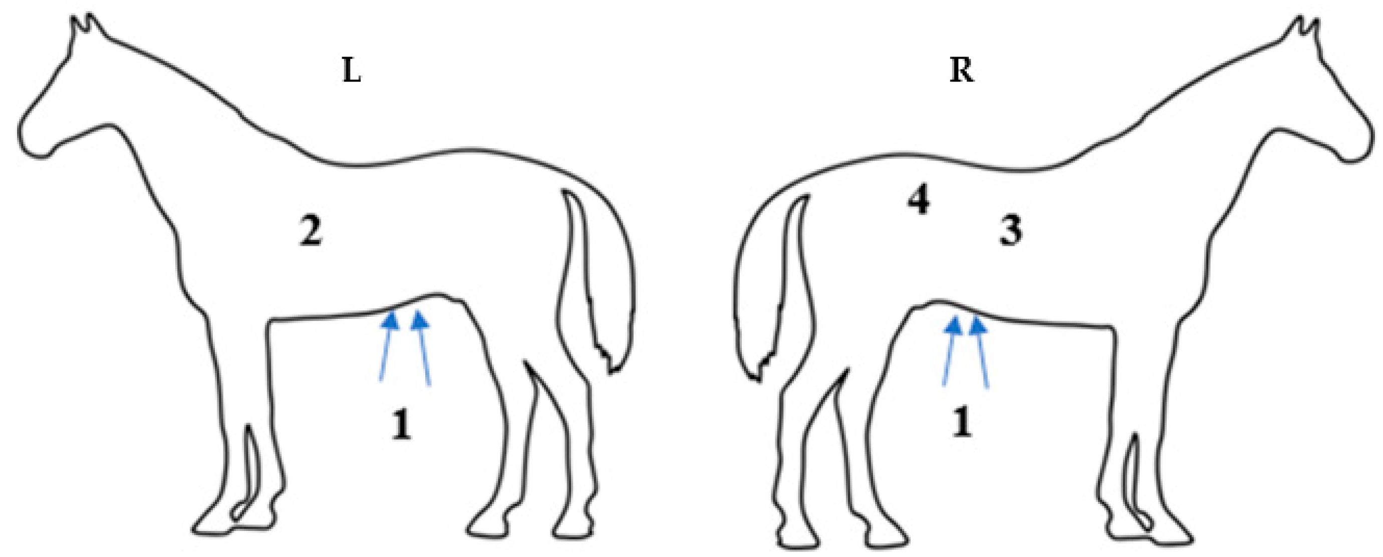 Animals 15 02358 g002