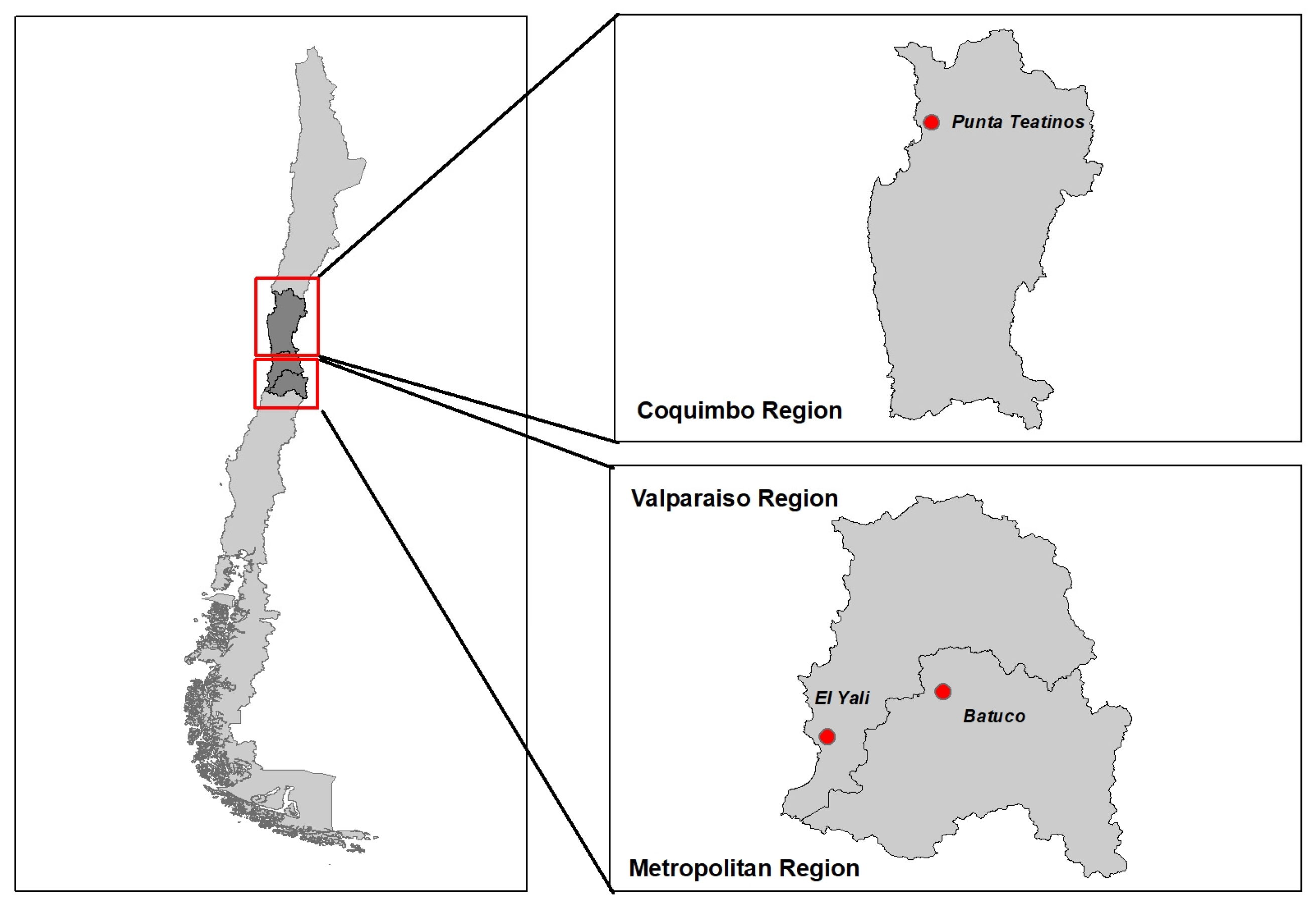 Animals 15 02364 g001 Animals 15 02364 g001