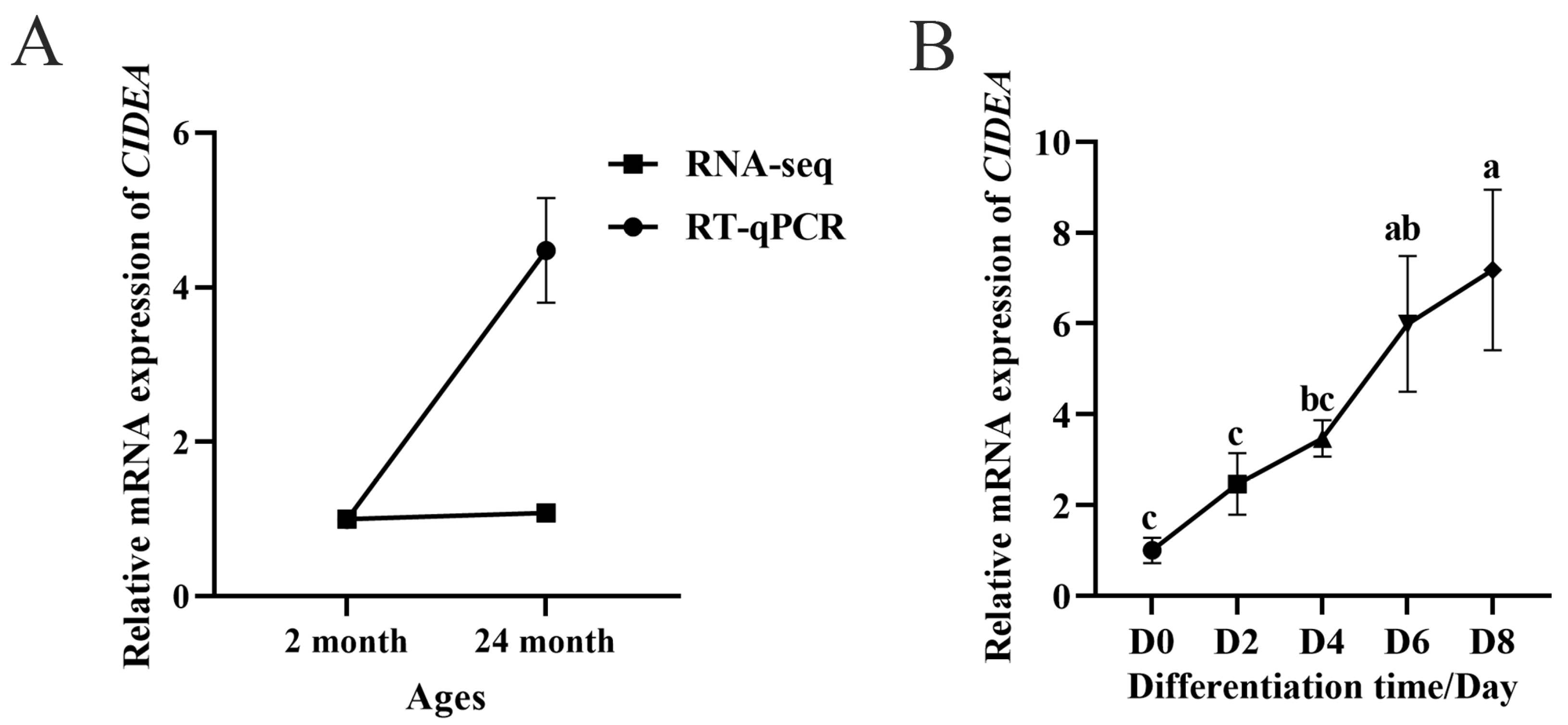 Animals 15 02374 g001