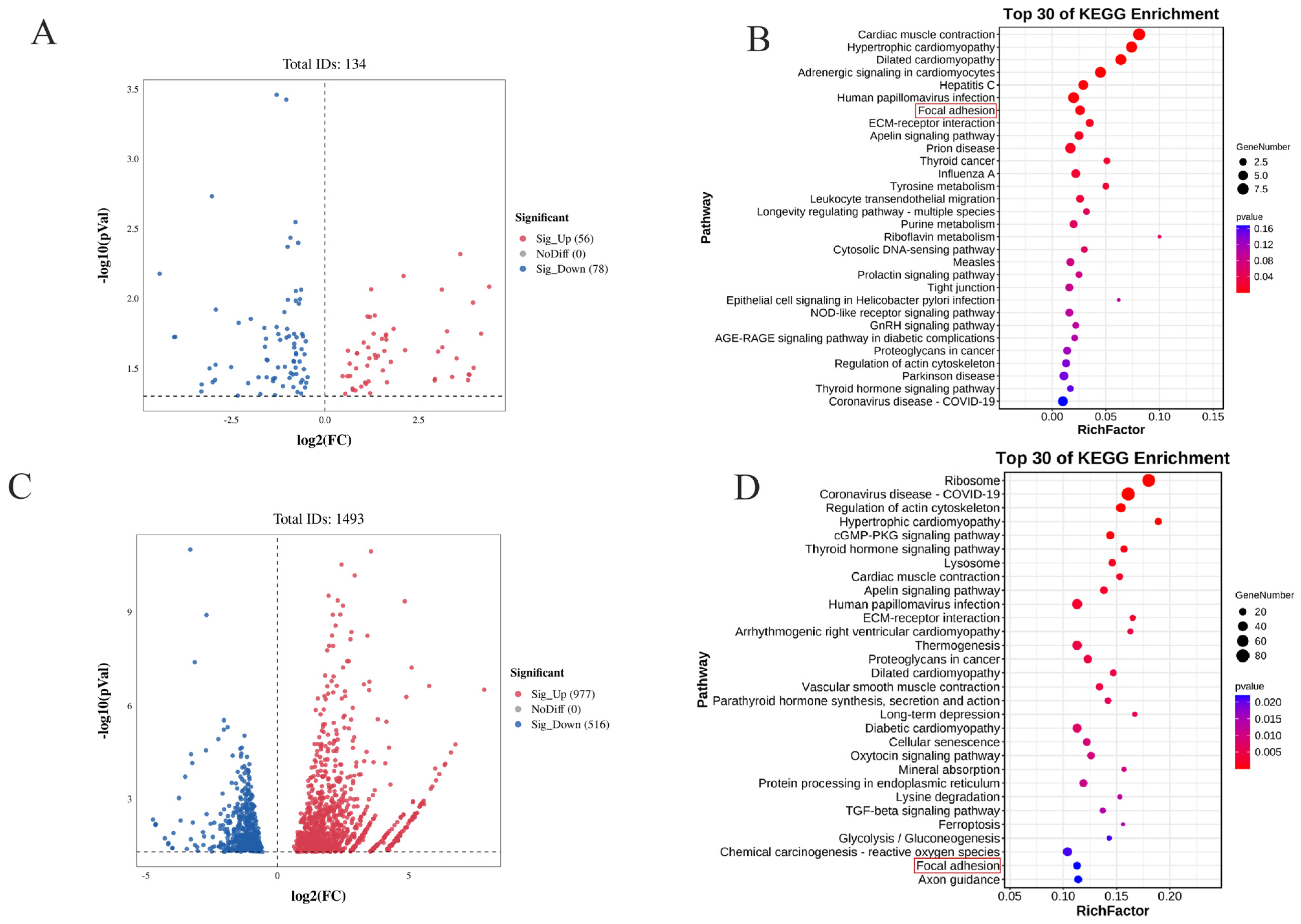 Animals 15 02374 g004