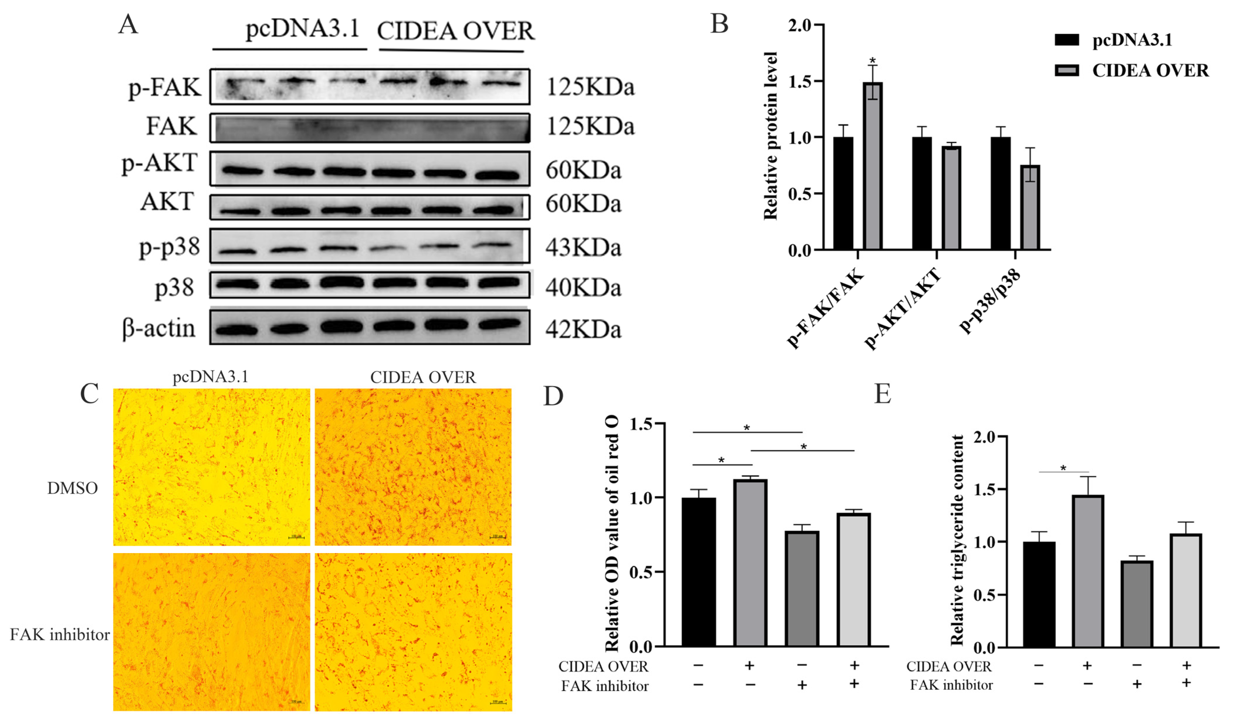 Animals 15 02374 g005