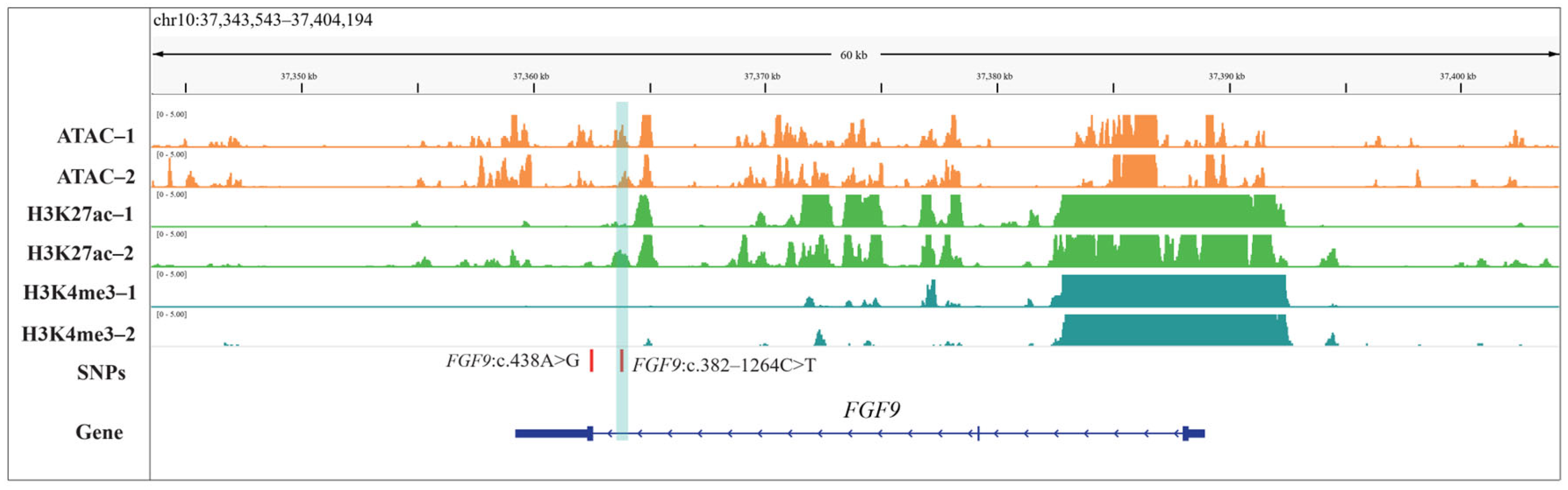 Animals 15 02375 g004