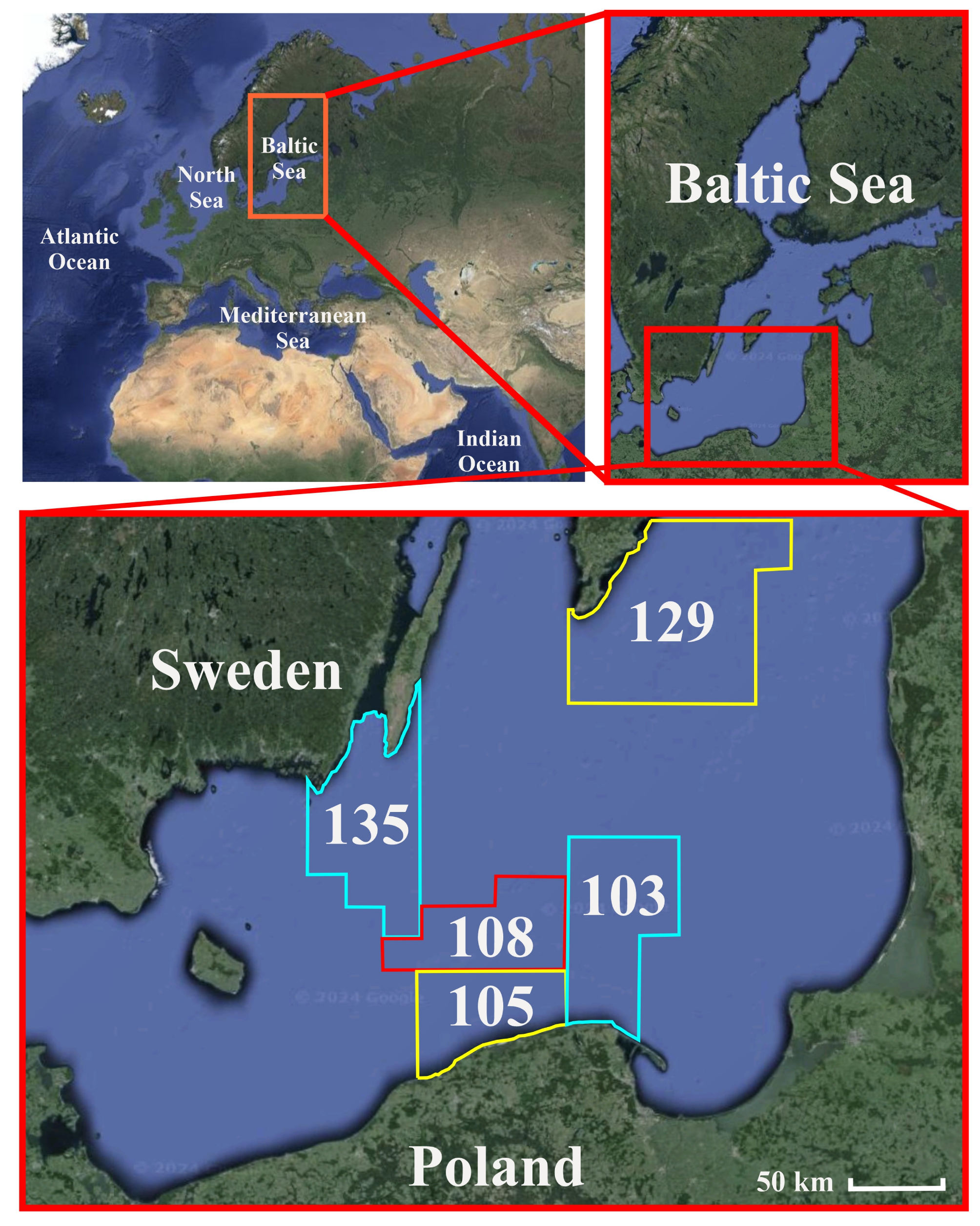 Animals 15 02381 g001 Animals 15 02381 g001