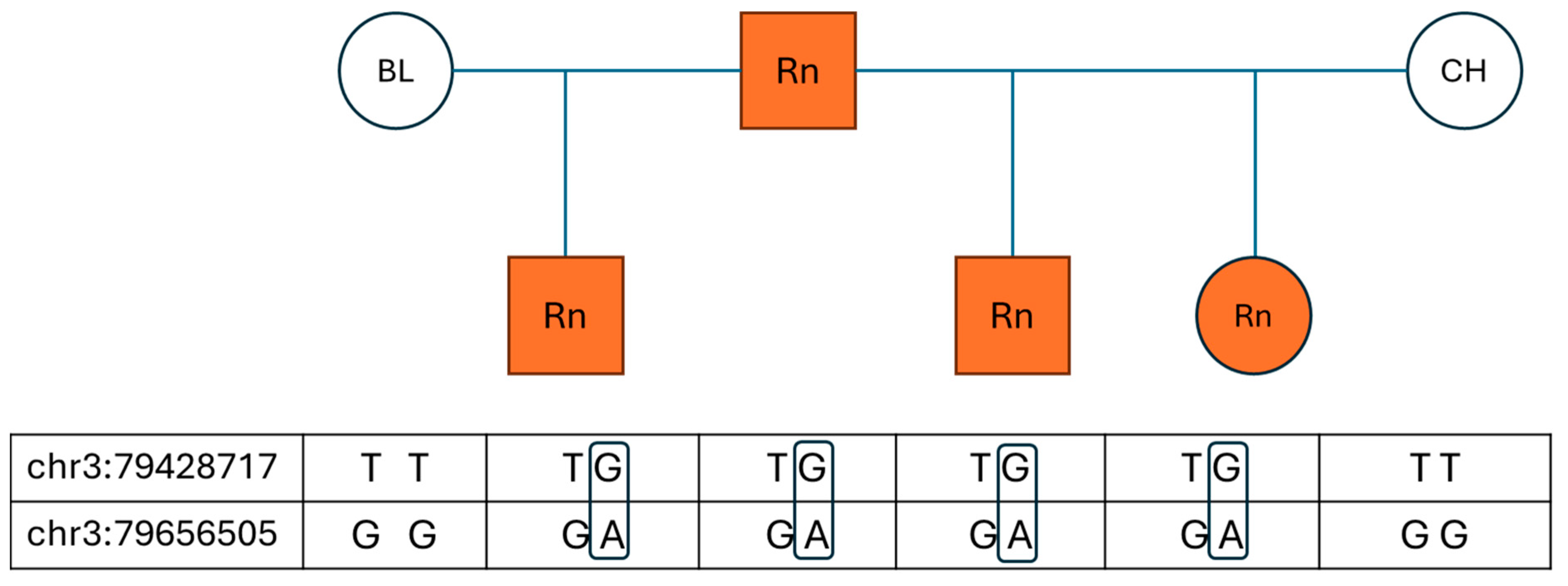 Animals 15 02386 g001