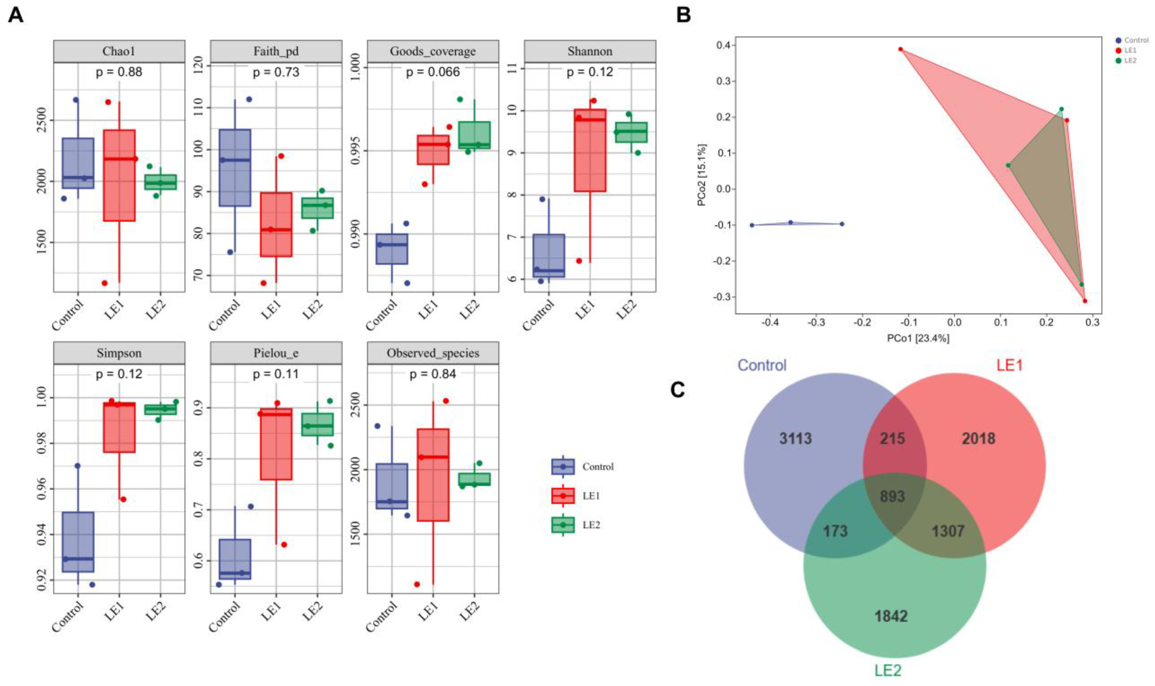 Animals 15 02390 g001