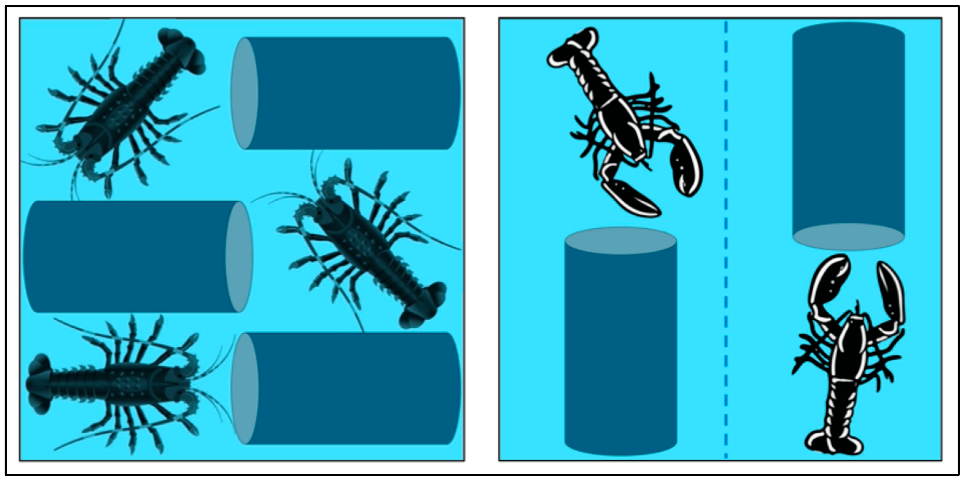 Animals 15 02397 g001