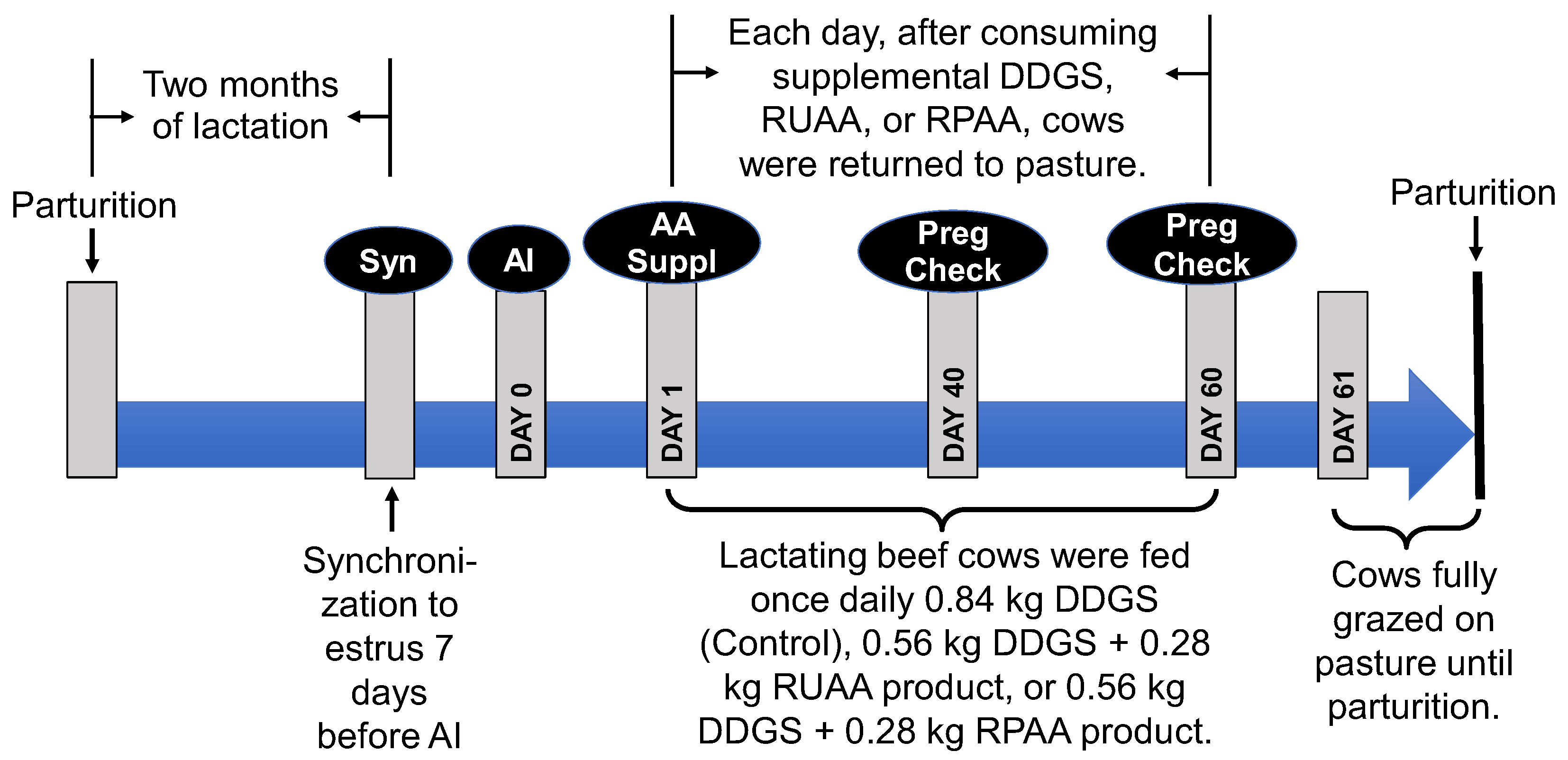 Animals 15 02398 g001 Animals 15 02398 g001