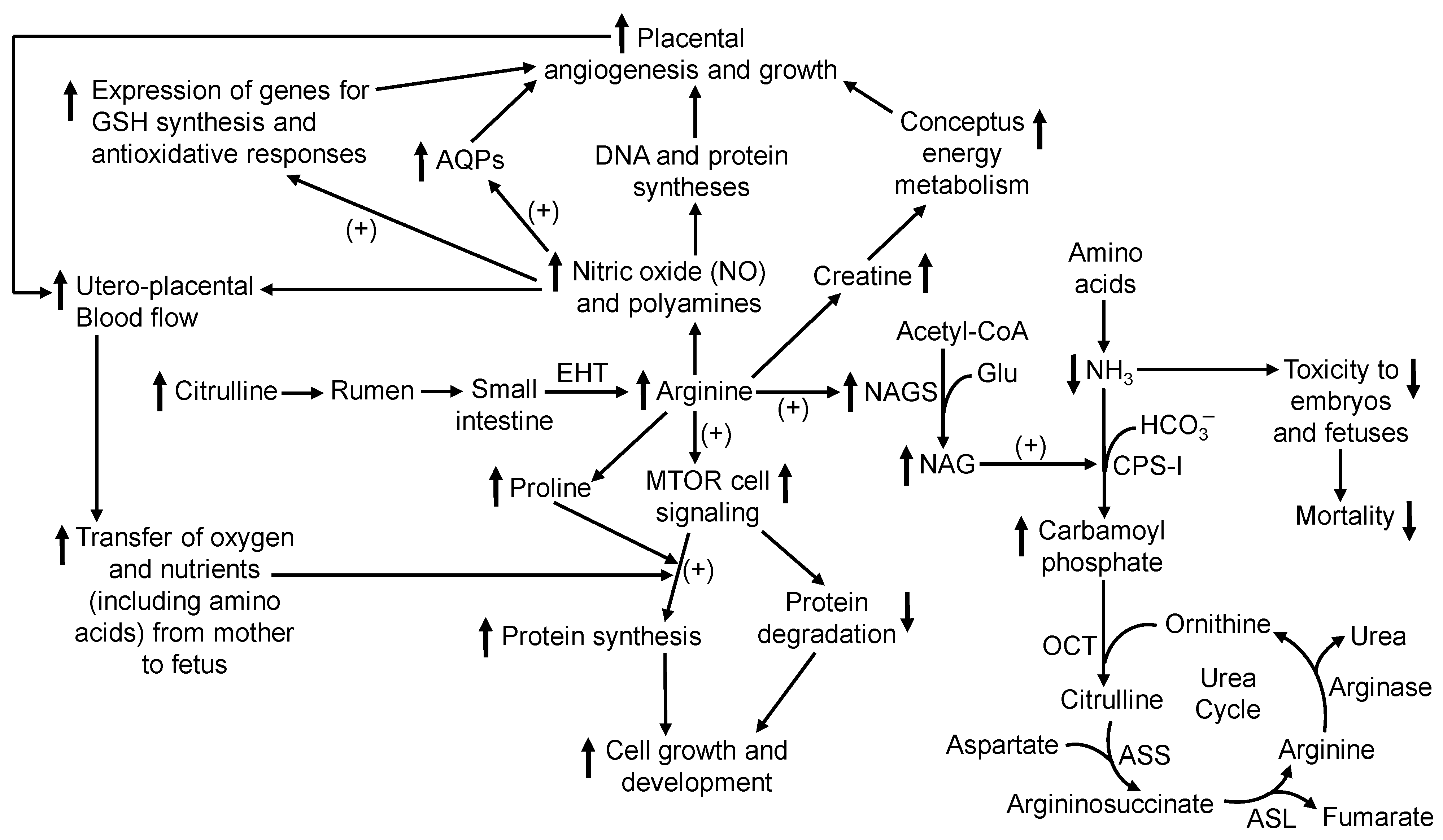 Animals 15 02398 g002 Animals 15 02398 g002