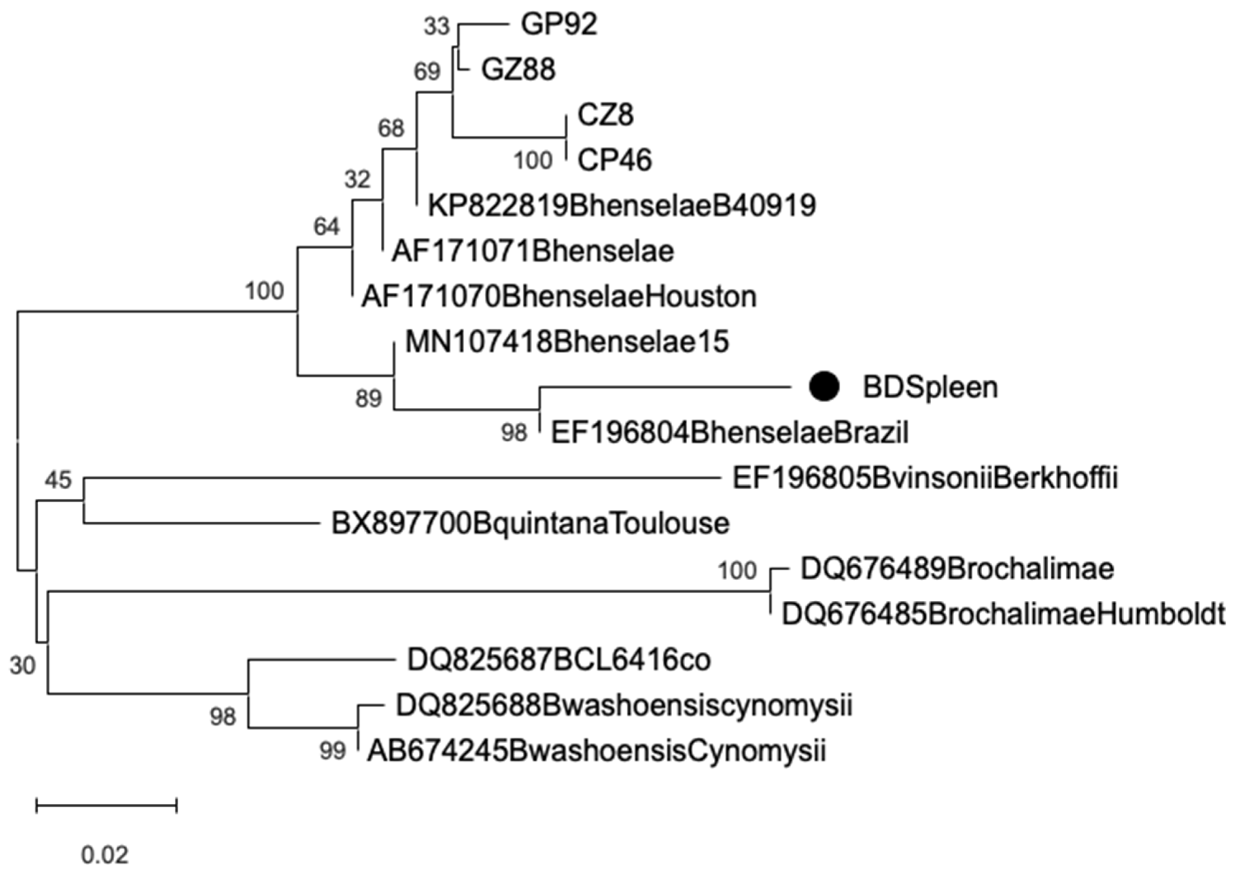 Animals 15 02402 g001 Animals 15 02402 g001