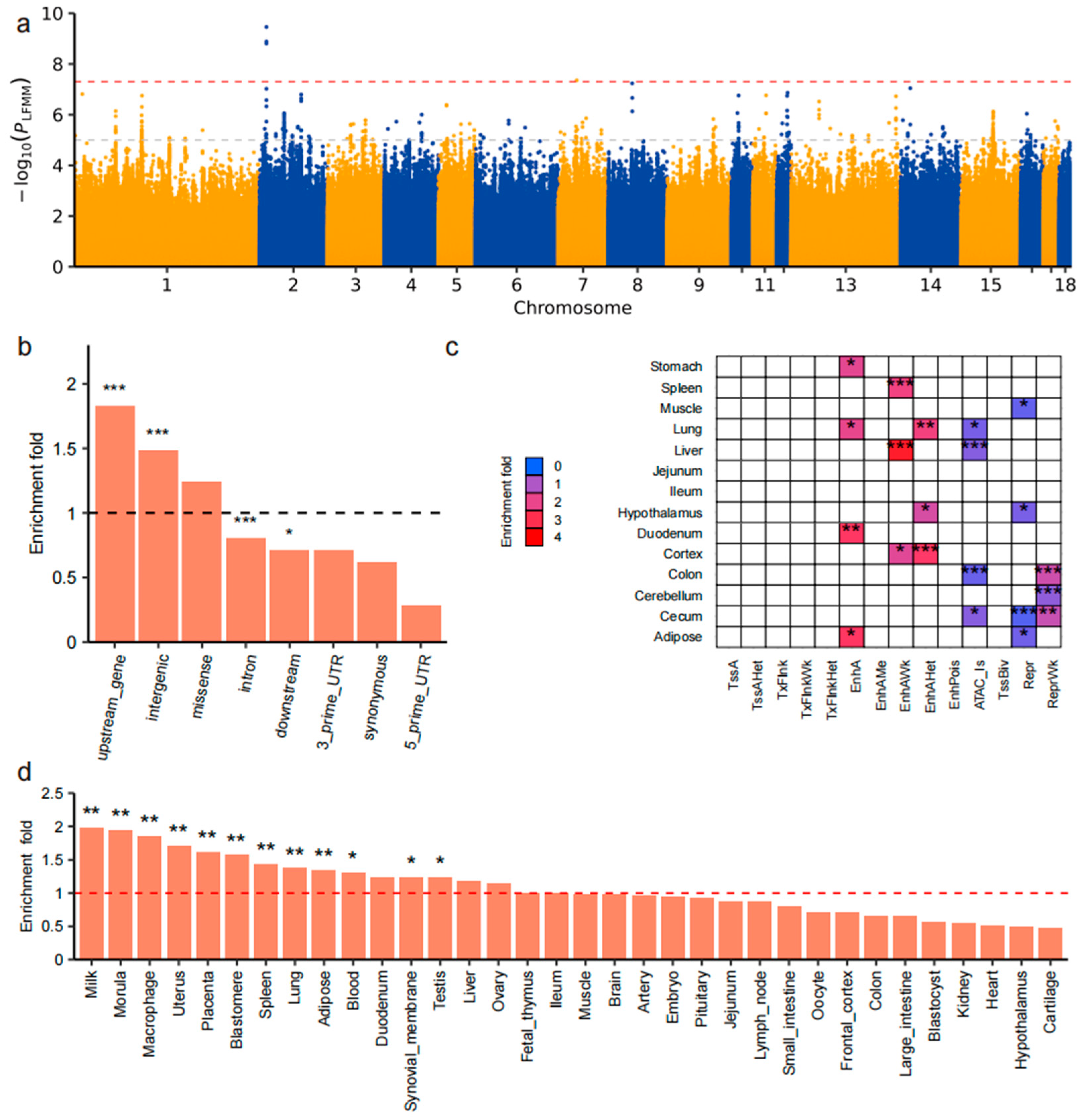 Animals 15 02412 g004