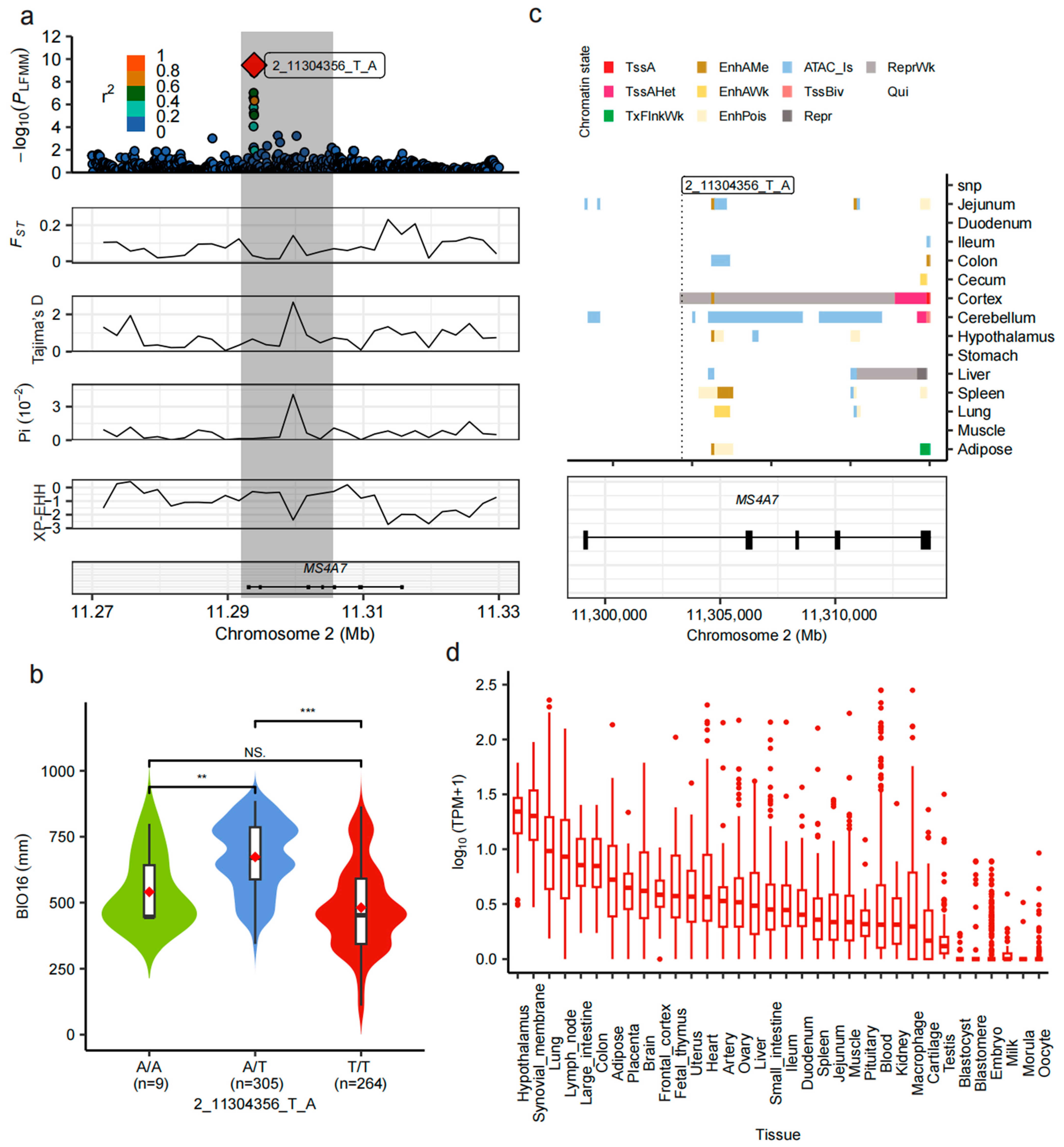Animals 15 02412 g005