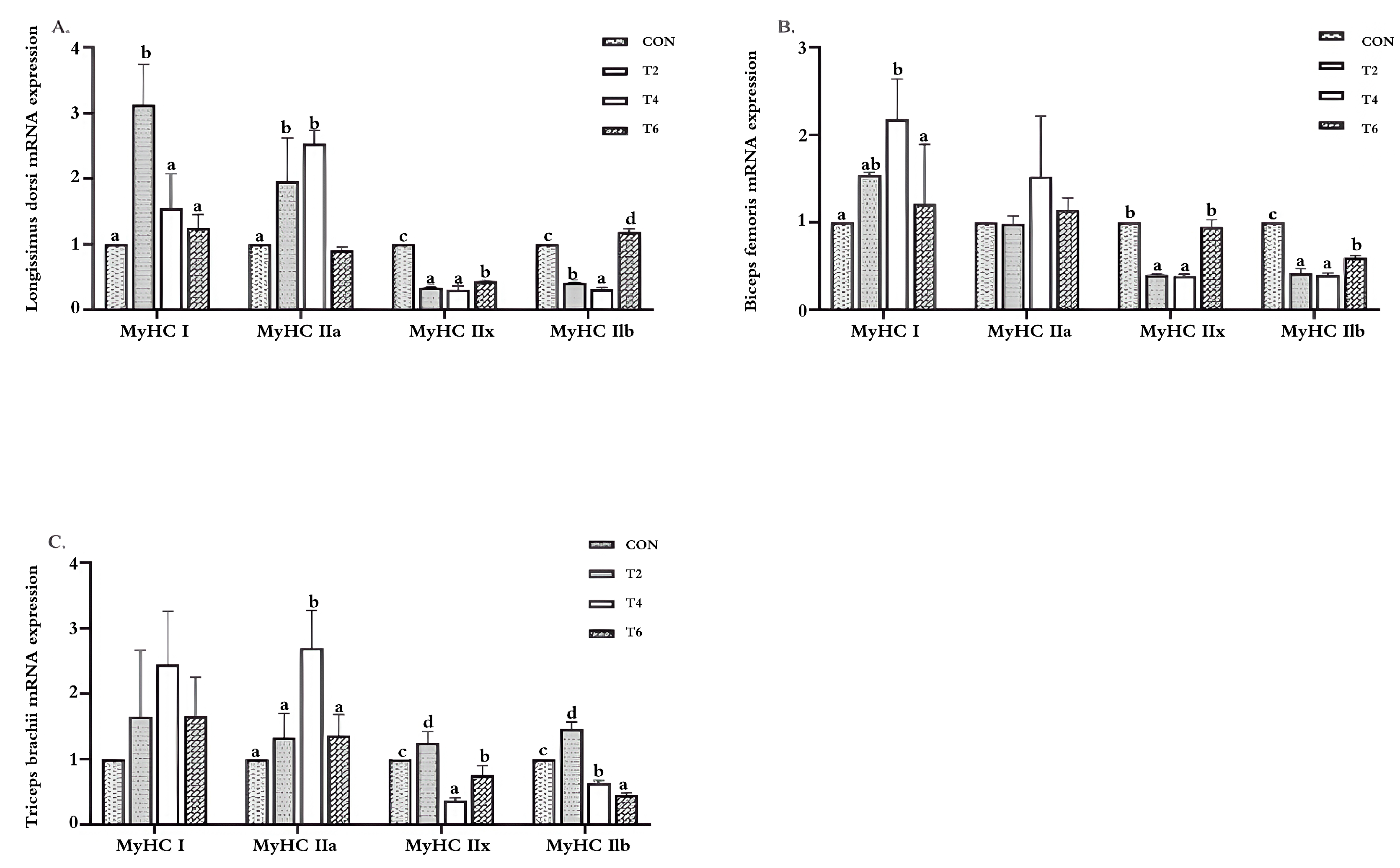 Animals 15 02414 g001