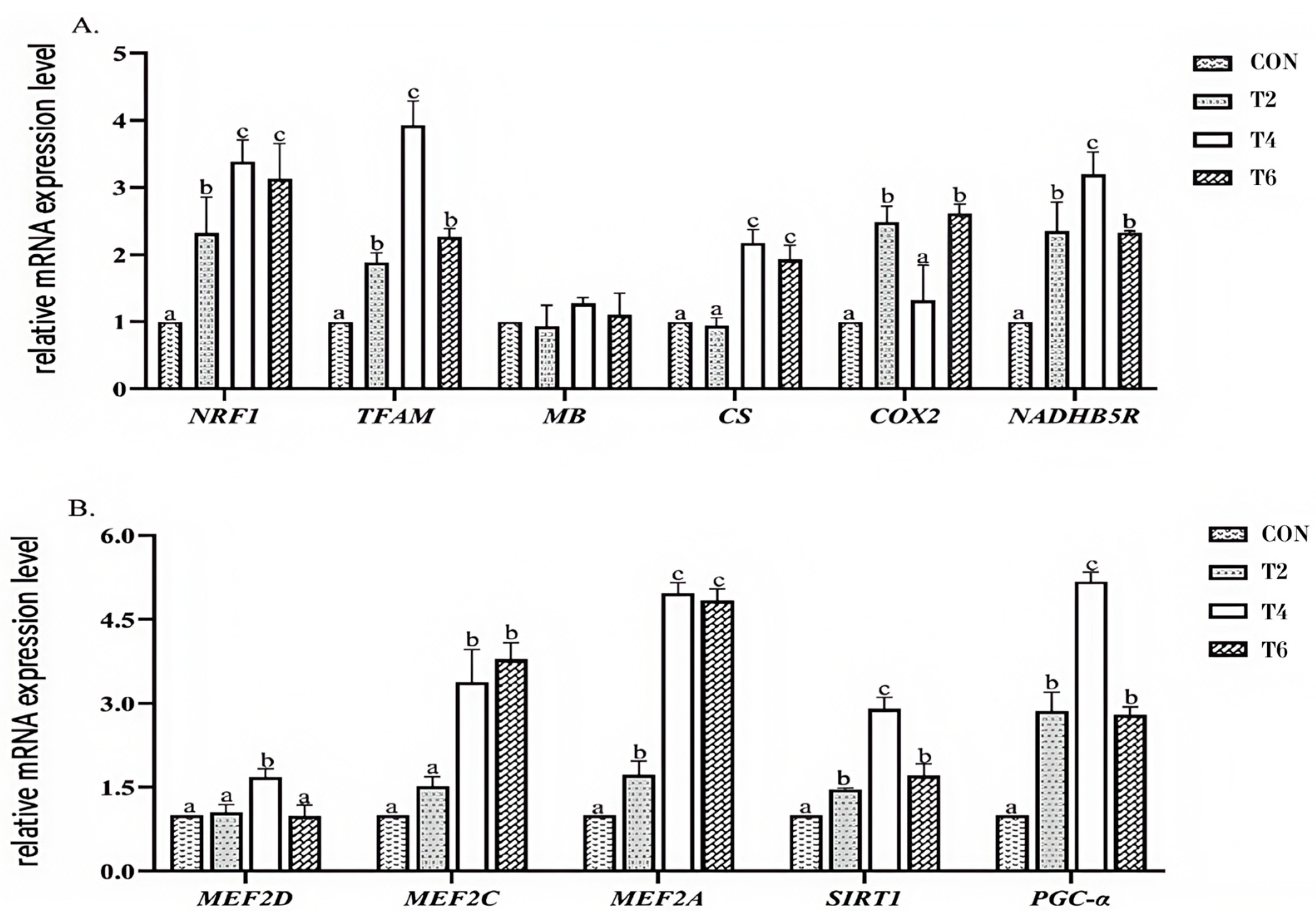 Animals 15 02414 g002