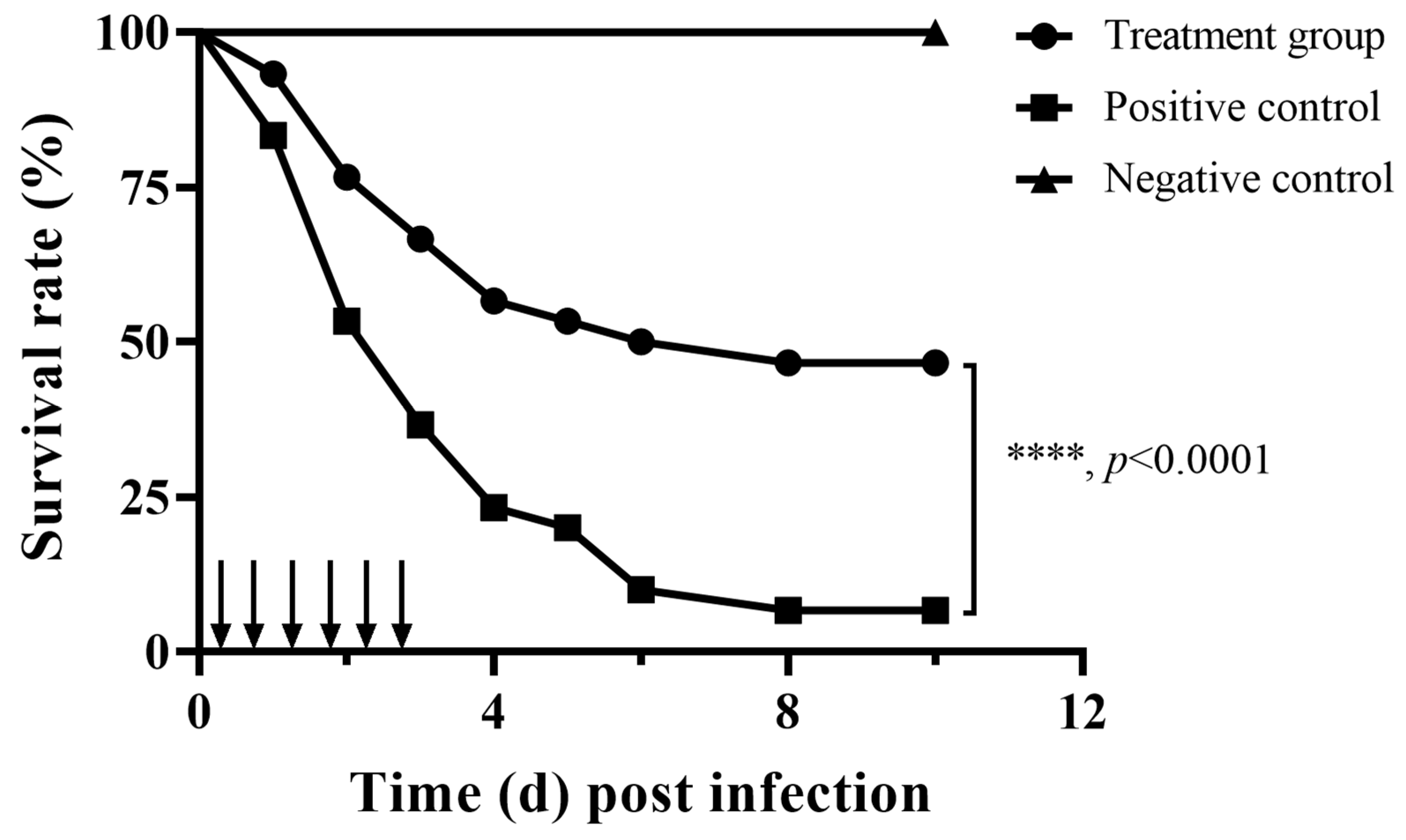 Animals 15 02415 g002