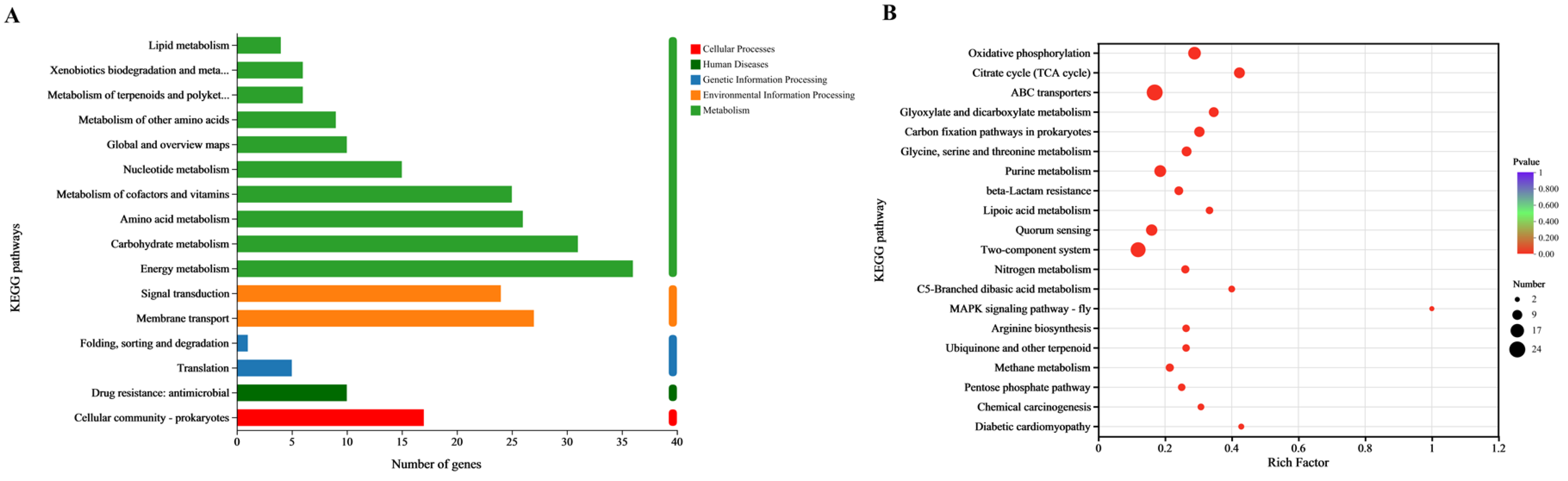 Animals 15 02415 g005