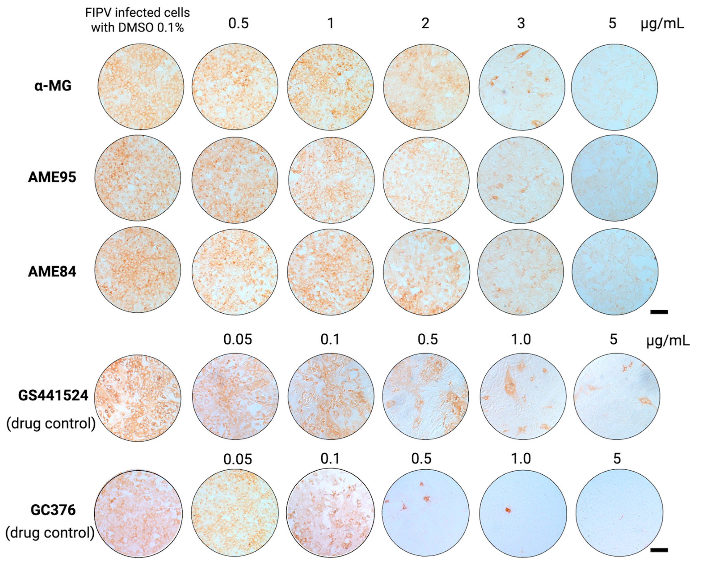 Animals 15 02417 g002 Animals 15 02417 g002