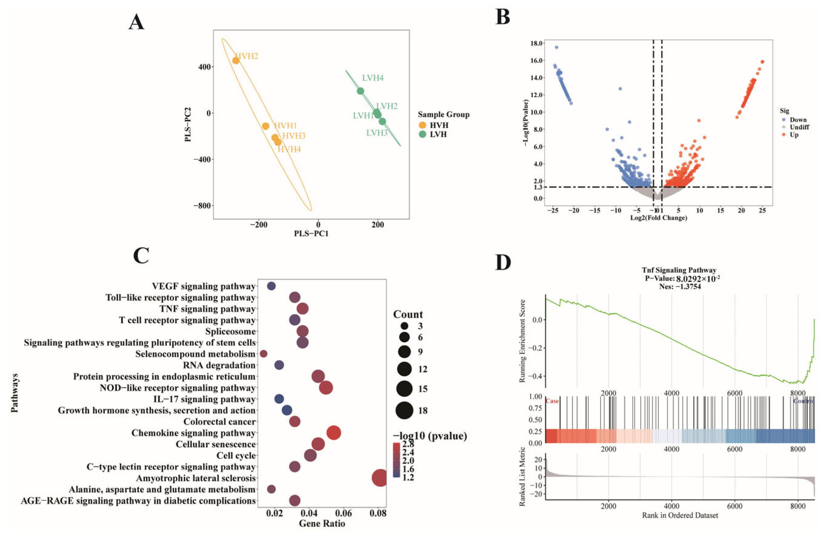 Animals 15 02419 g003