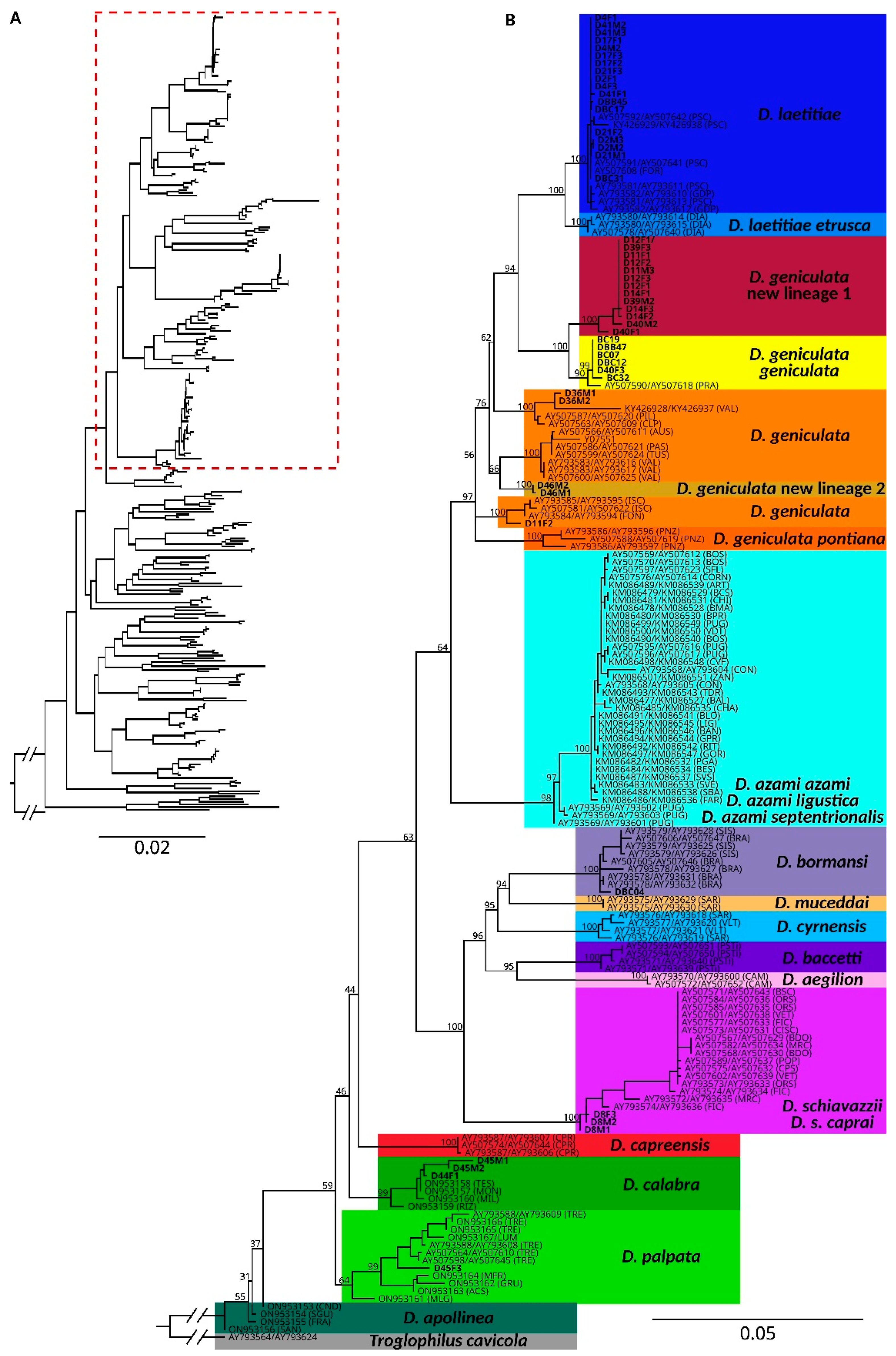 Animals 15 02429 g001 Animals 15 02429 g001
