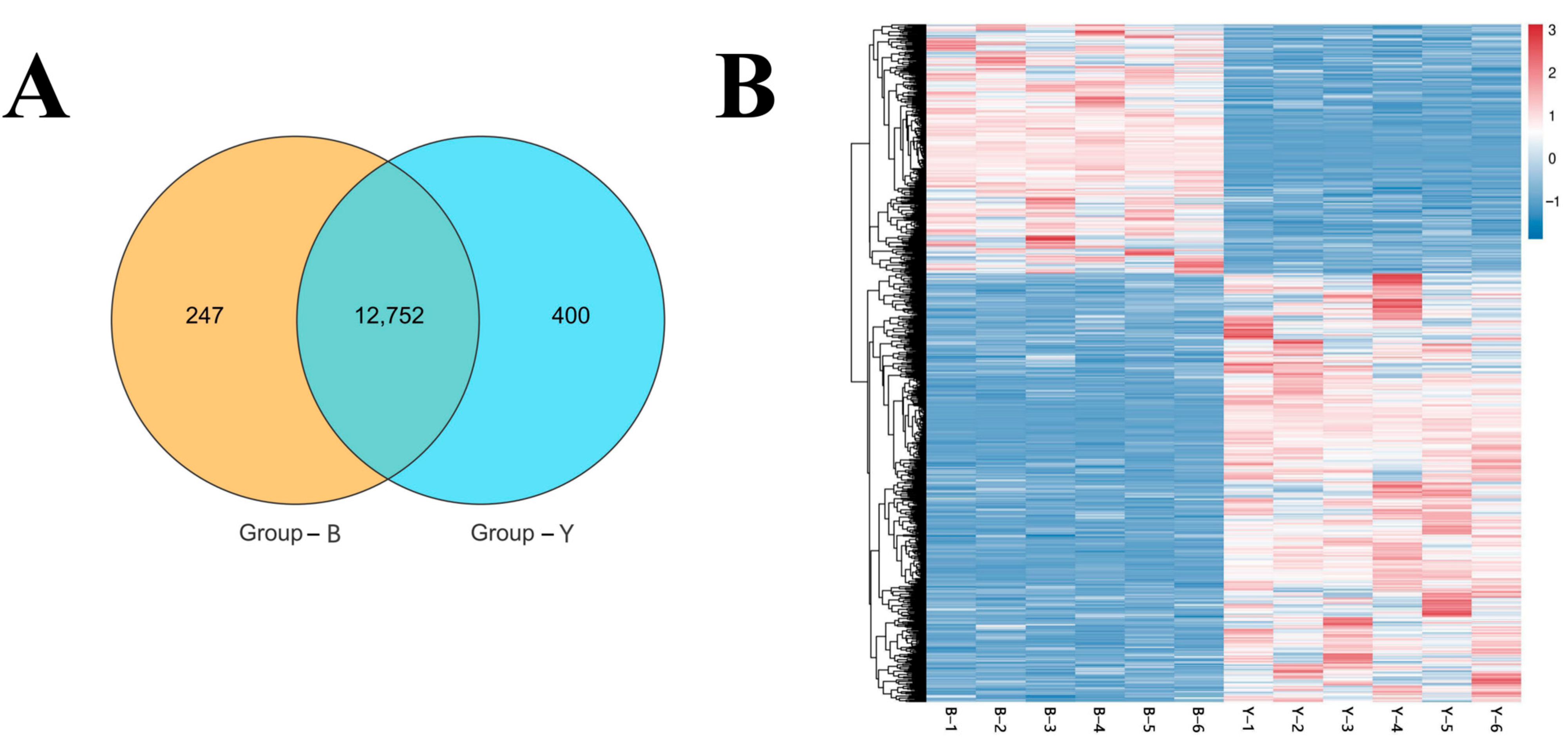 Animals 15 02436 g003 Animals 15 02436 g003