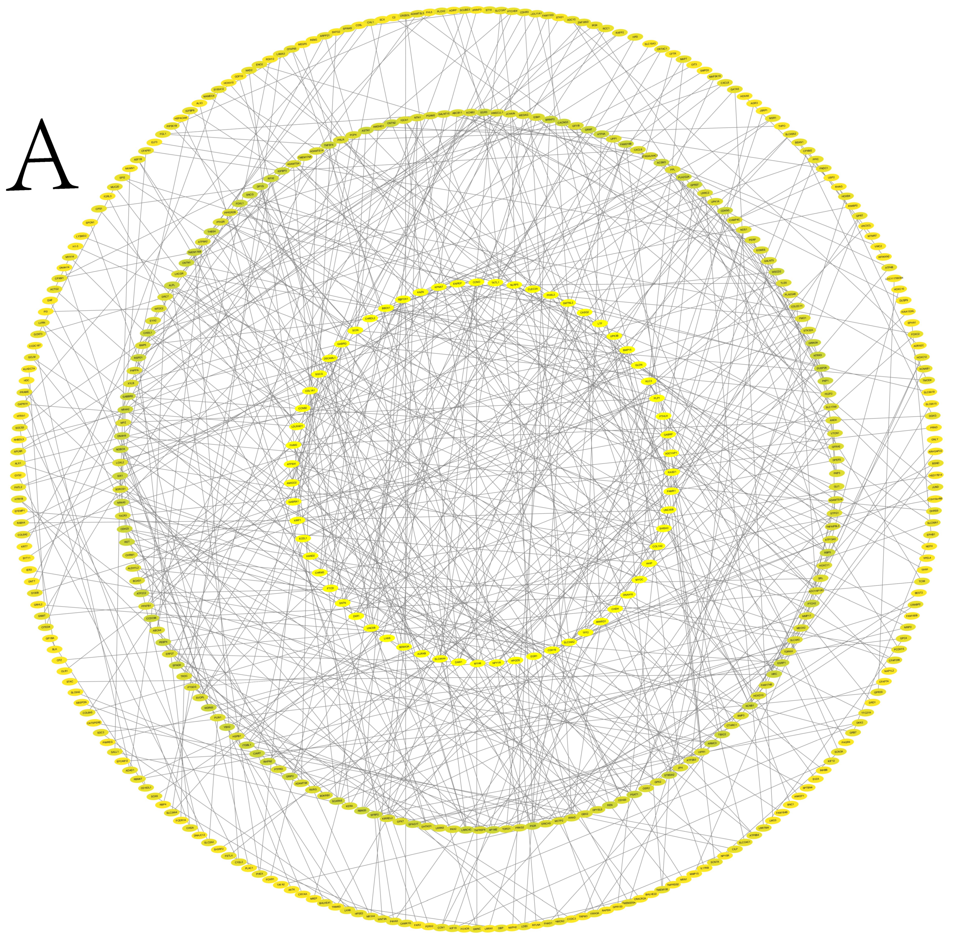 Animals 15 02436 g006a Animals 15 02436 g006a