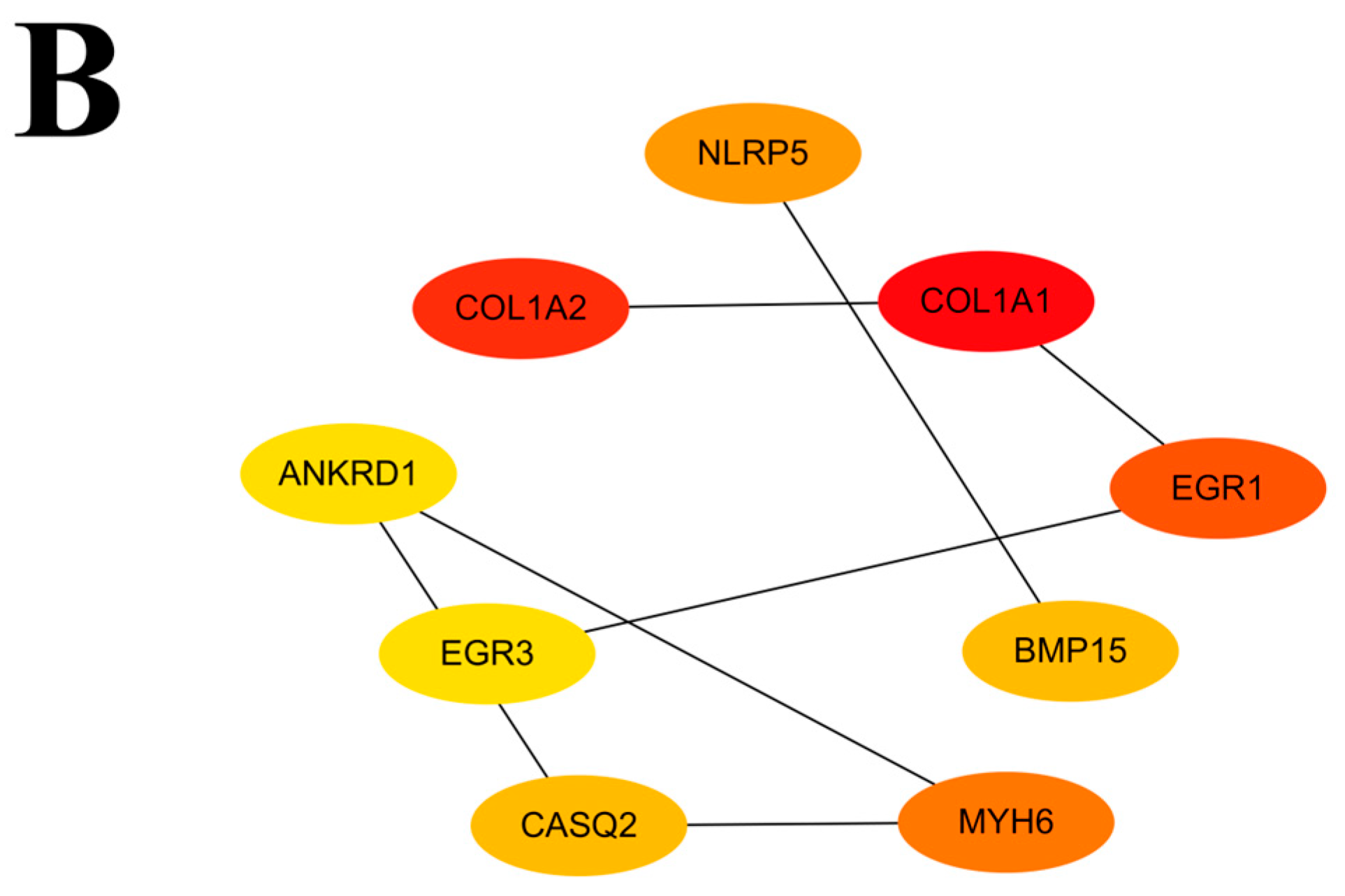 Animals 15 02436 g006b Animals 15 02436 g006b