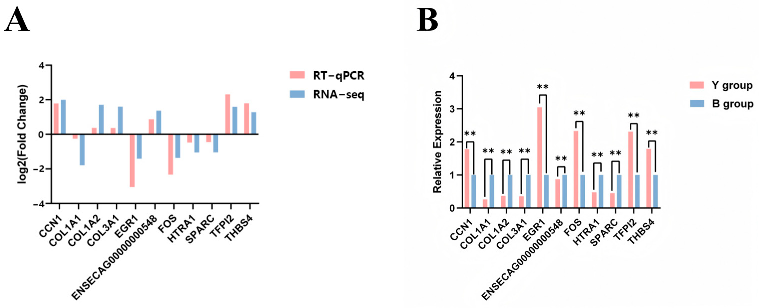 Animals 15 02436 g007 Animals 15 02436 g007