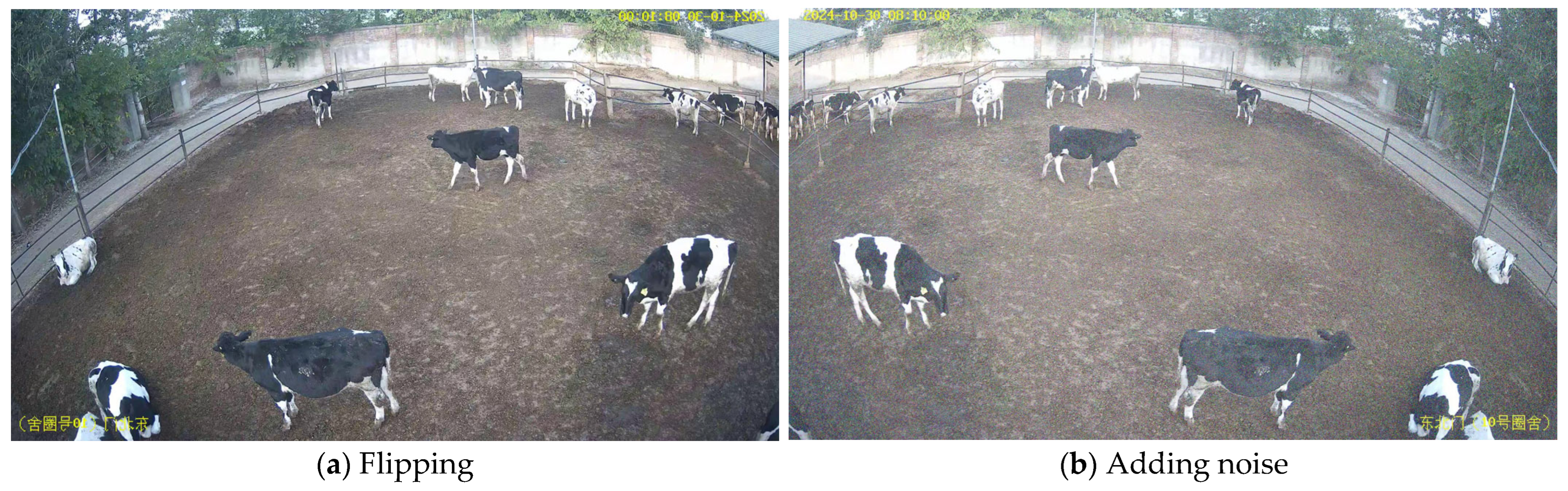 Animals 15 02439 g002a