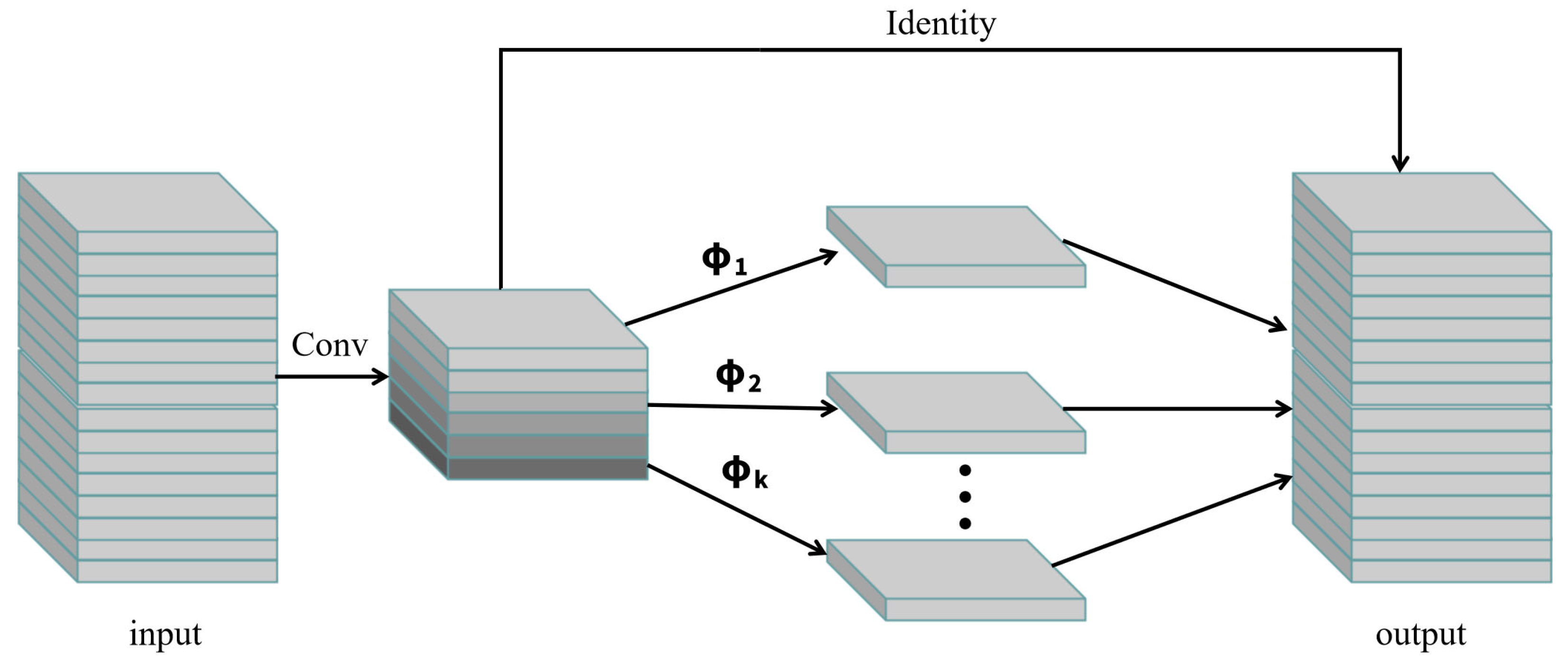 Animals 15 02439 g003