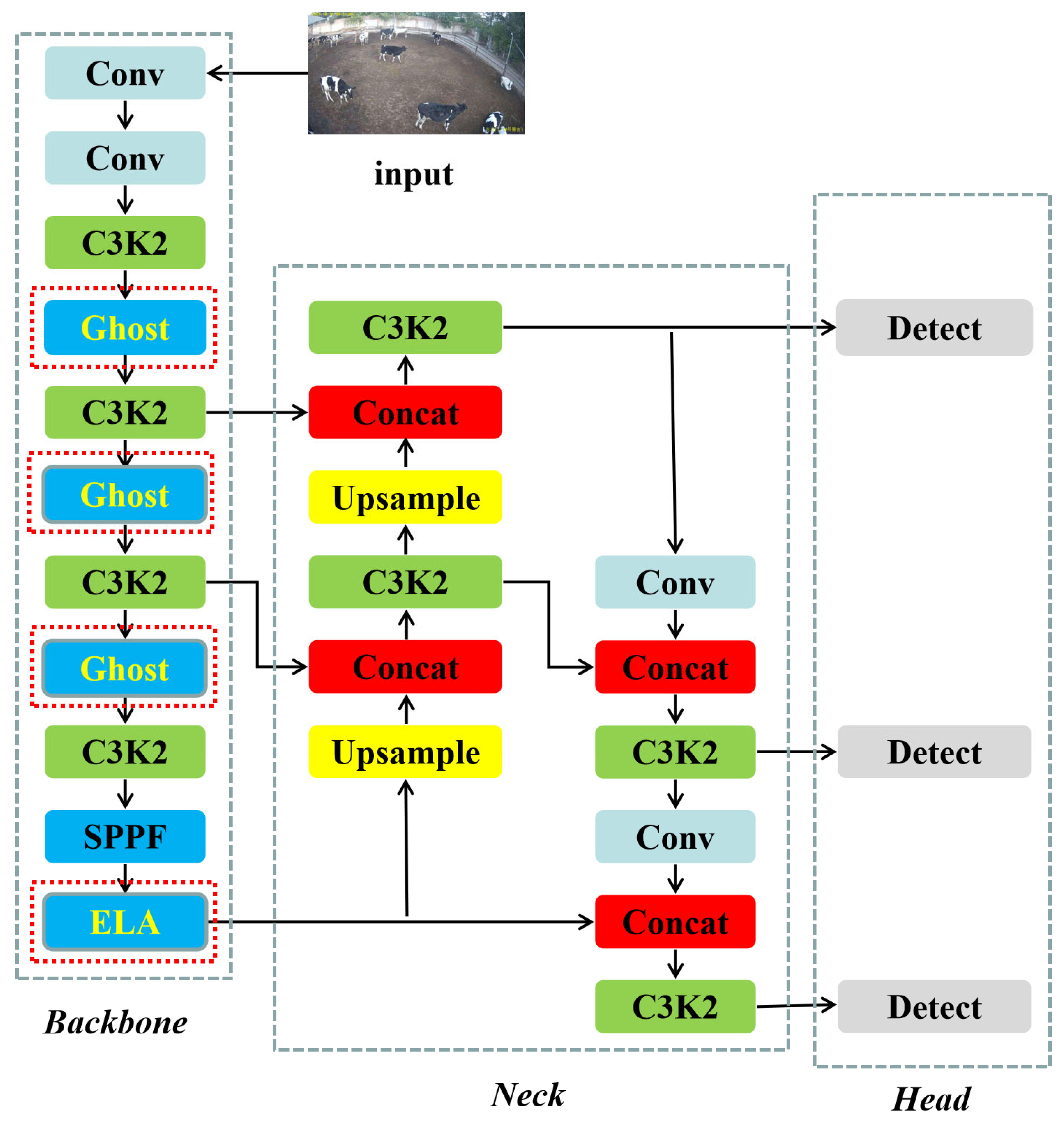 Animals 15 02439 g005