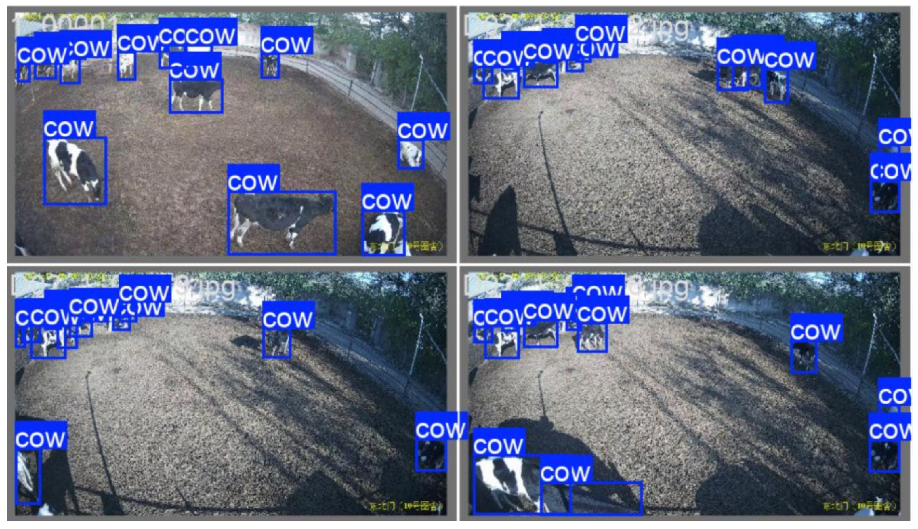 Animals 15 02439 g007