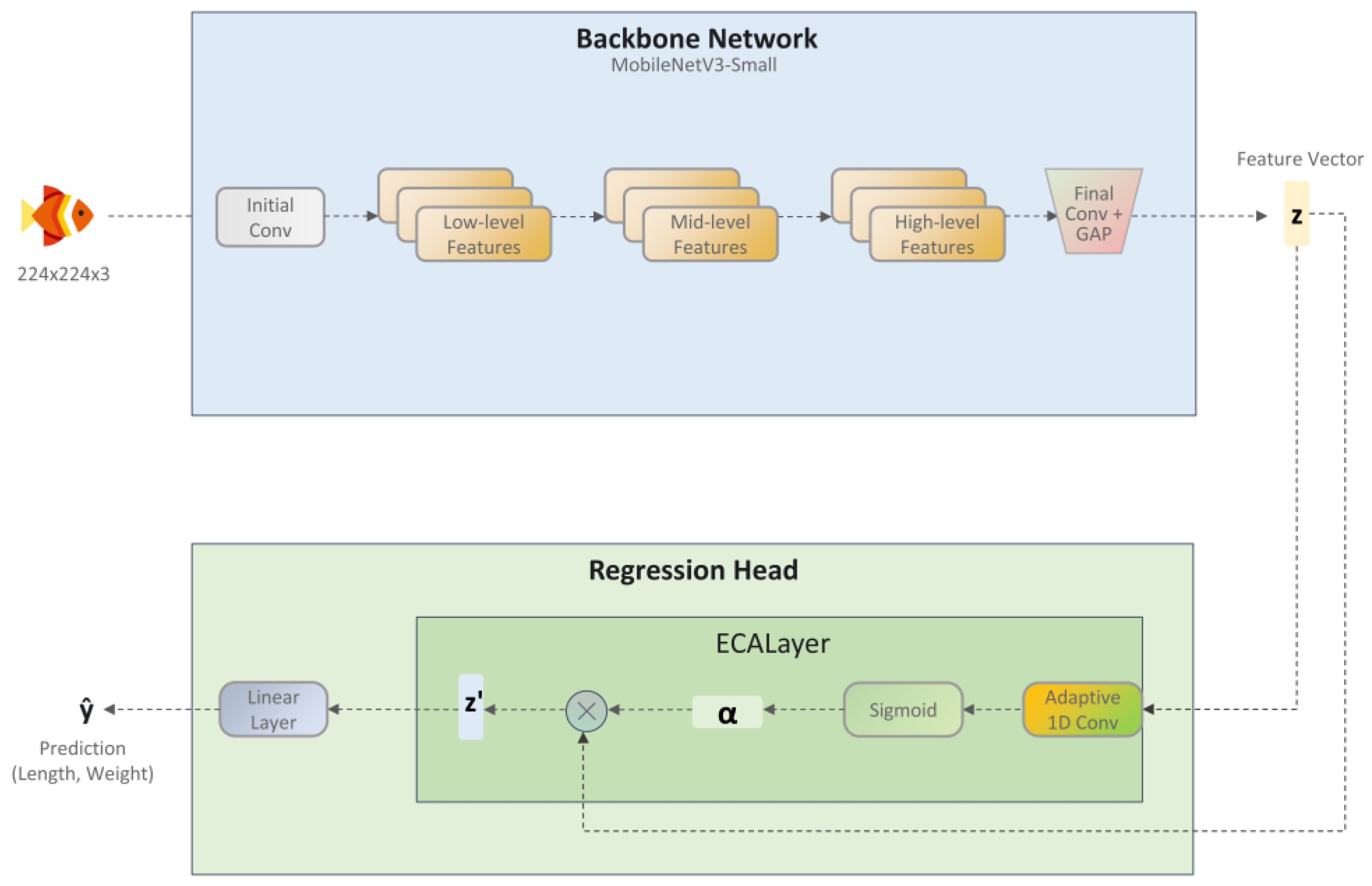 Animals 15 02443 g005 Animals 15 02443 g005