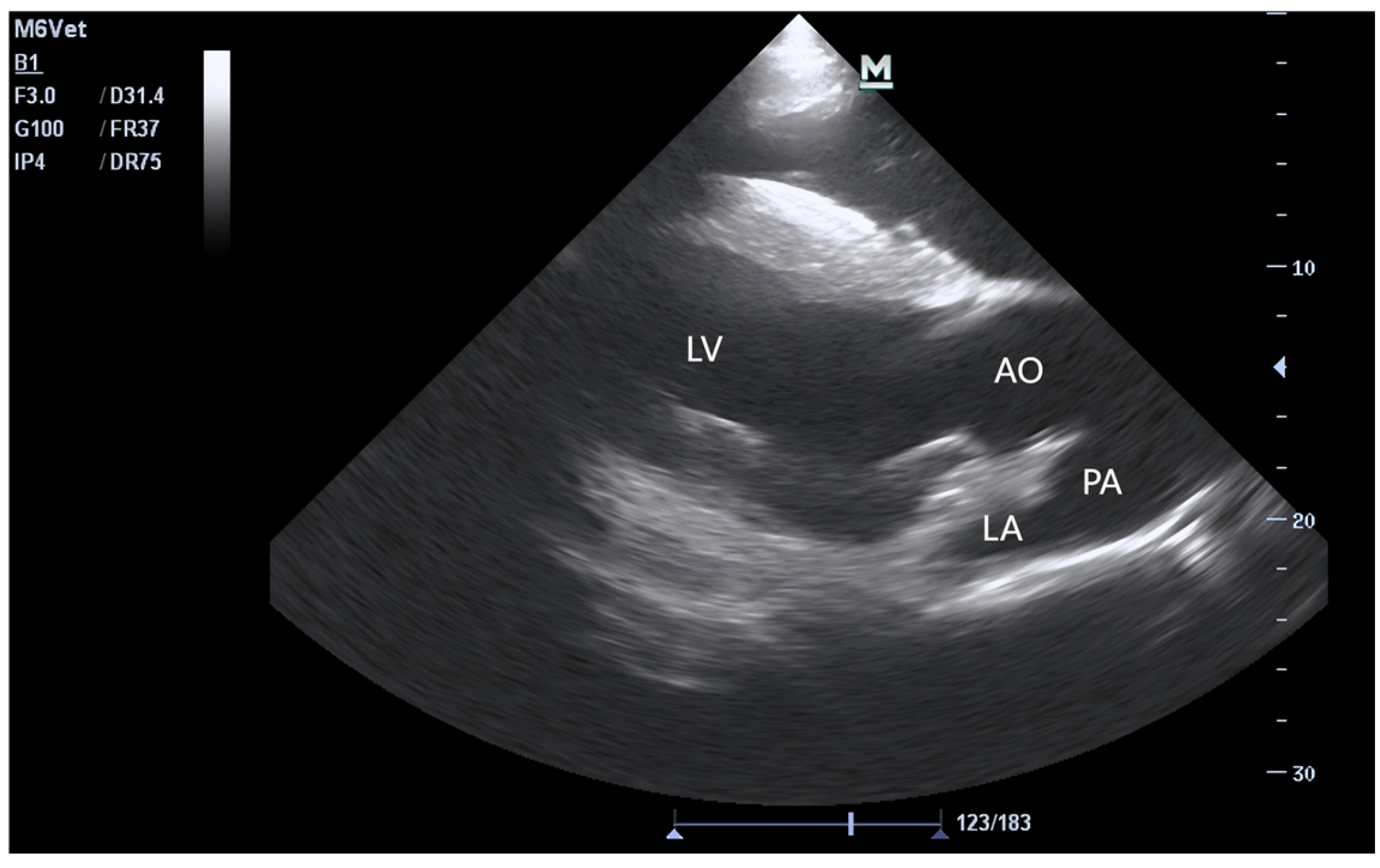 Animals 15 02444 g002